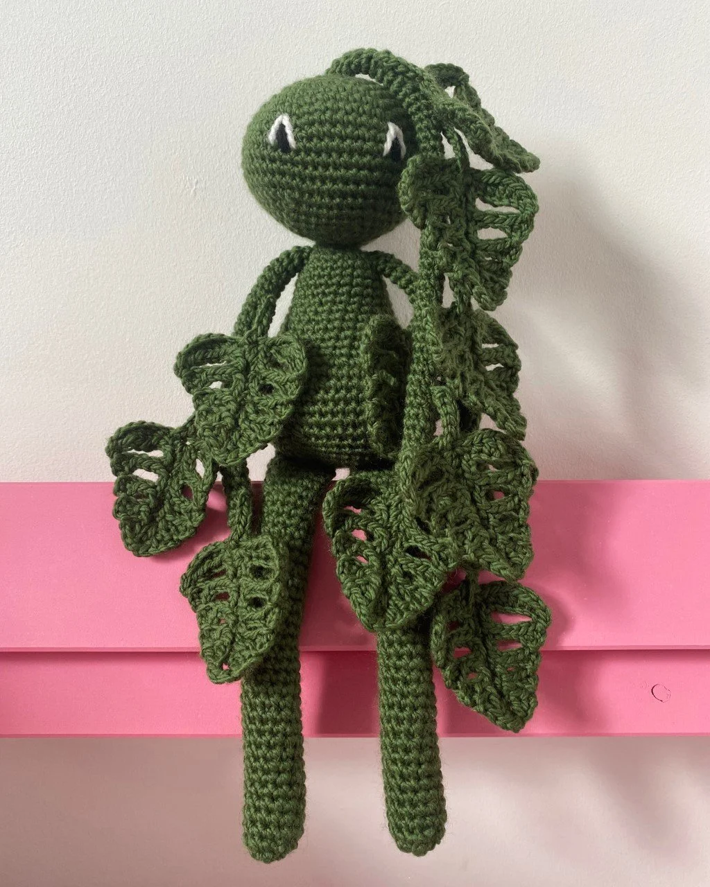  Plant Monstera 