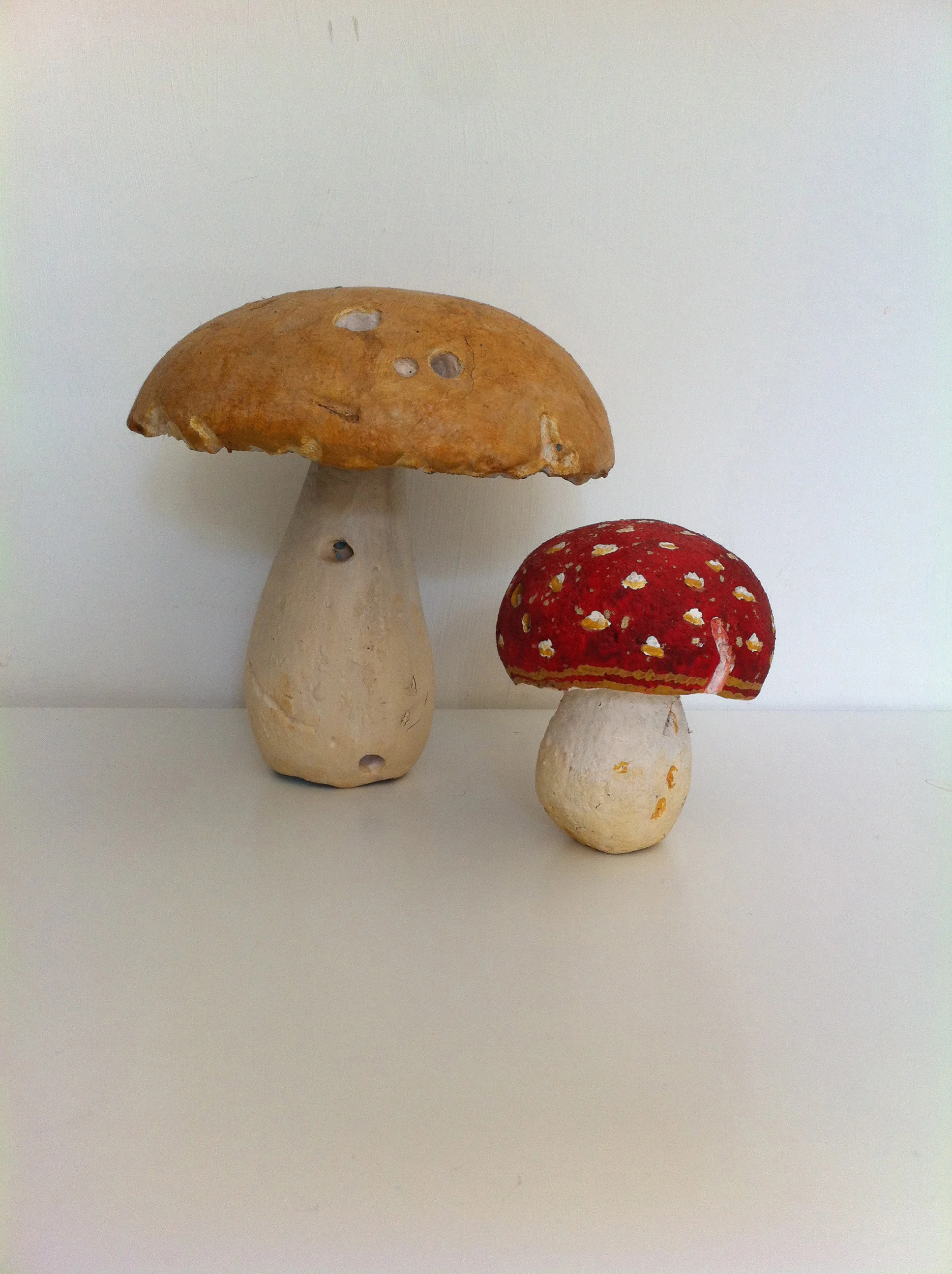 mushrooms.jpg