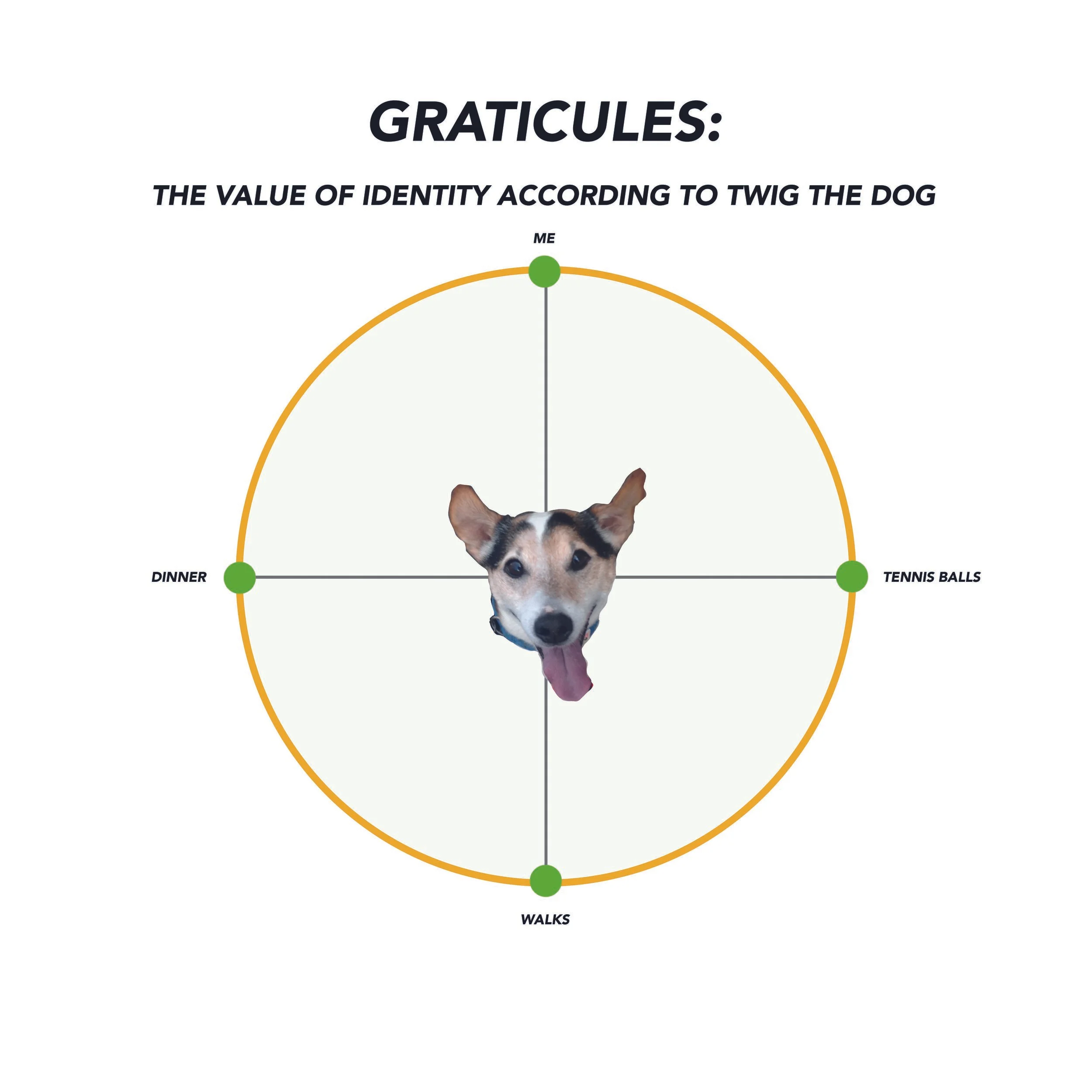Twig the dog.jpg