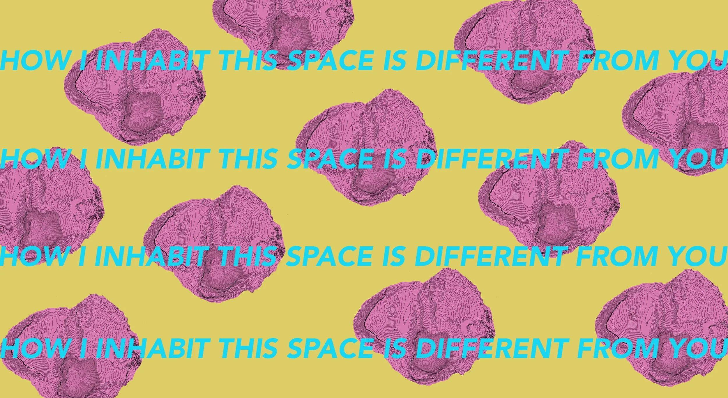 How I inhabit this space pattern.jpg