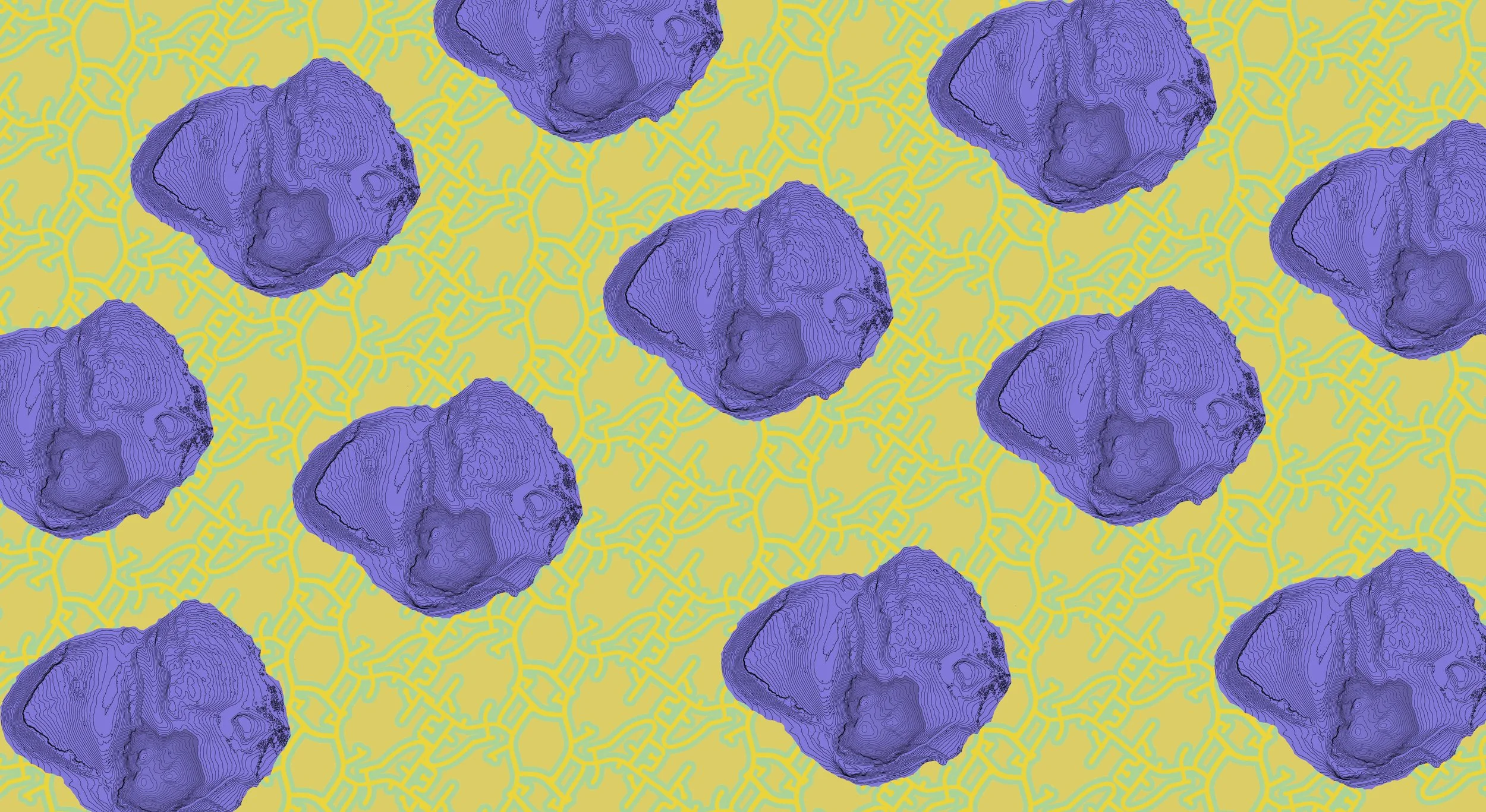 Patterns_2.jpg