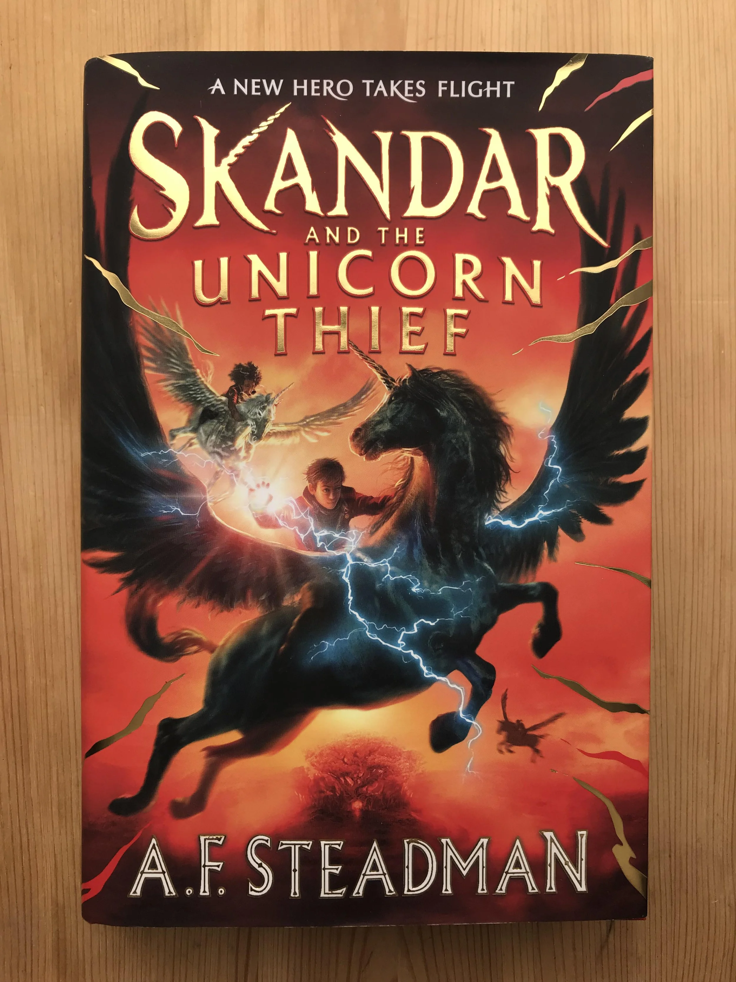 Skandar cover.jpg