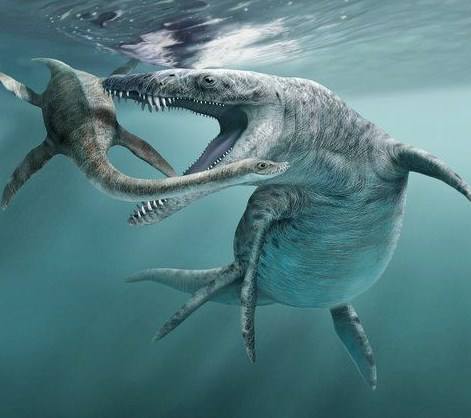 pliosaur3.jpg