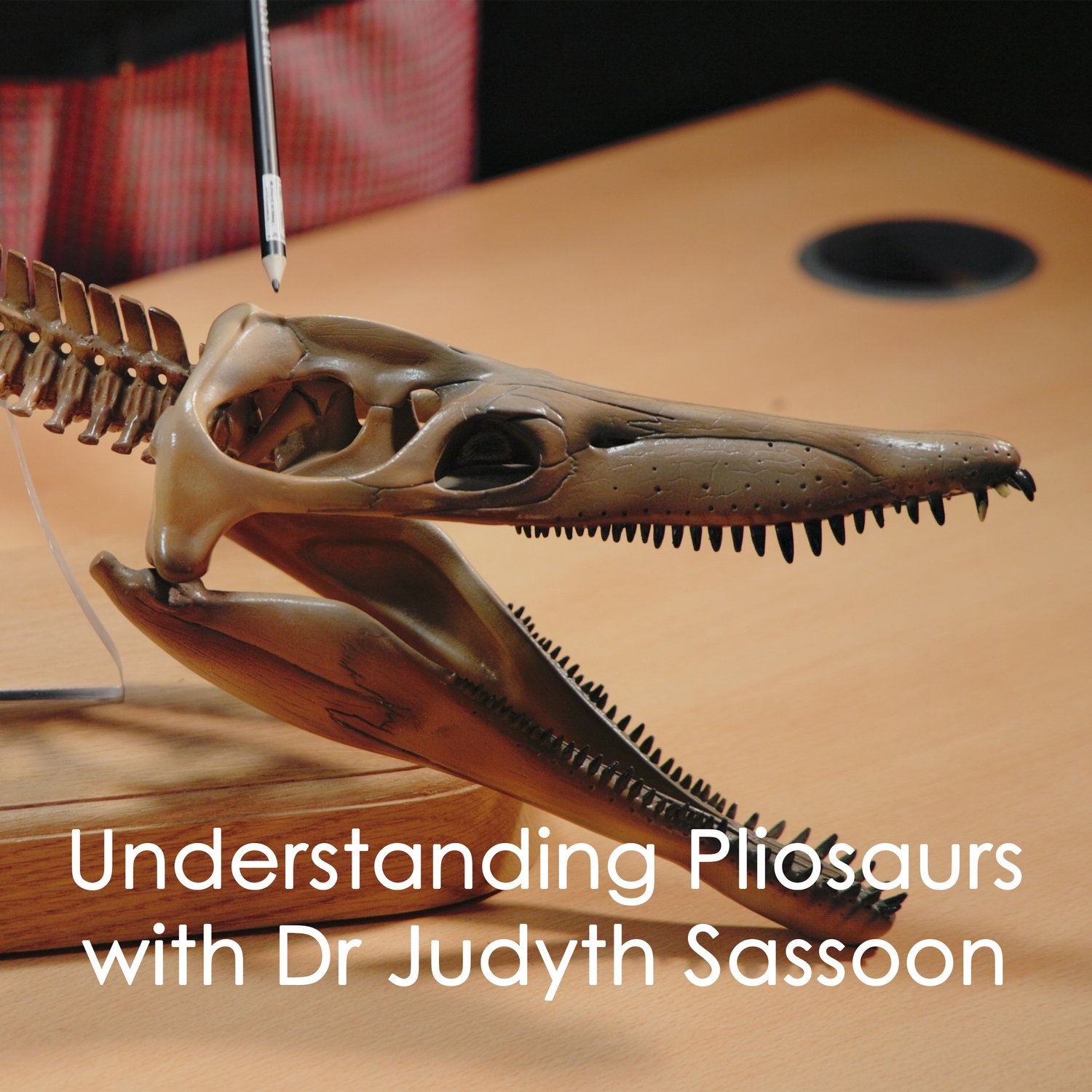 Understanding Pliosaurs with Dr Judyth Sassoon podcast artwork