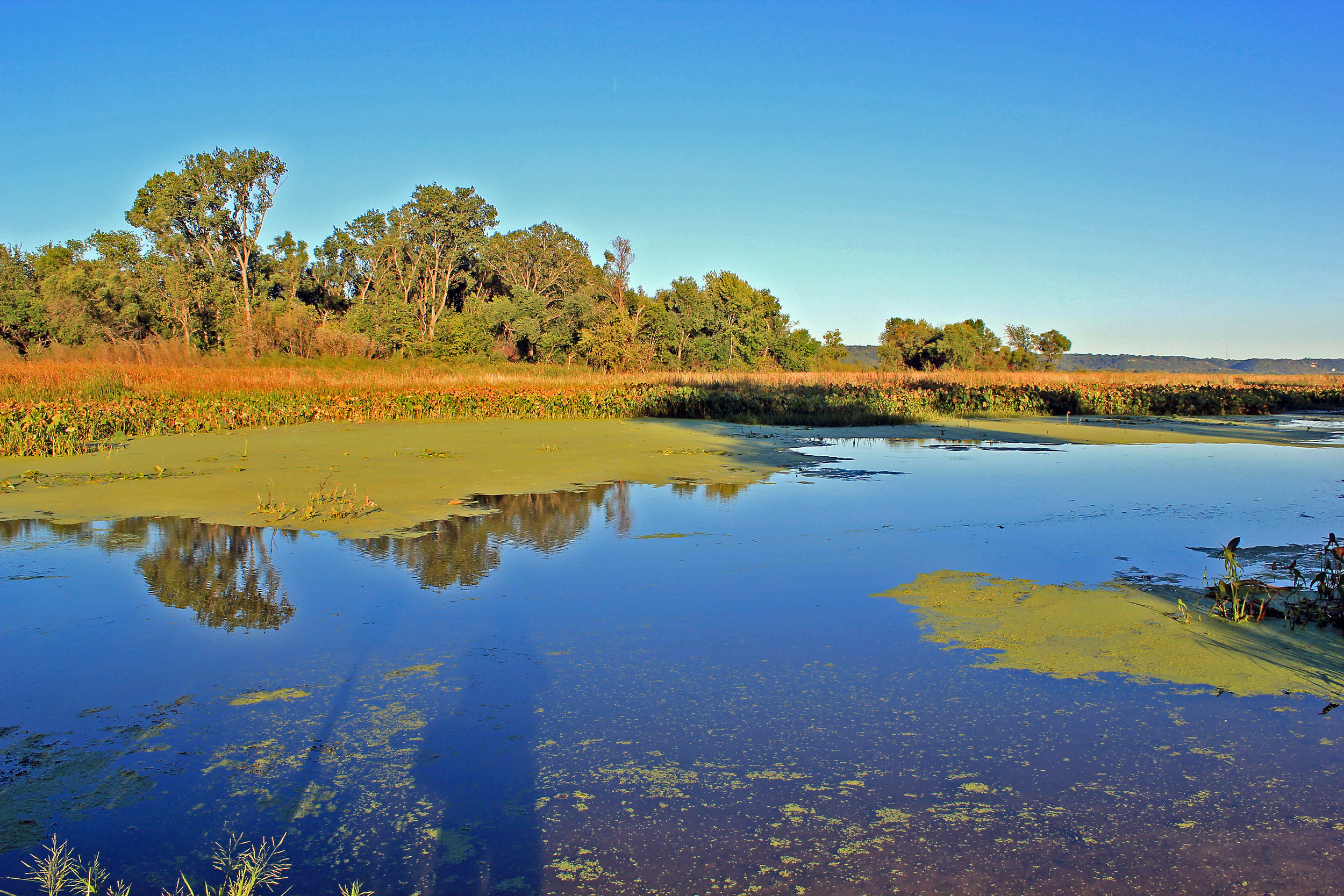 Deere Dike Park-2.jpg