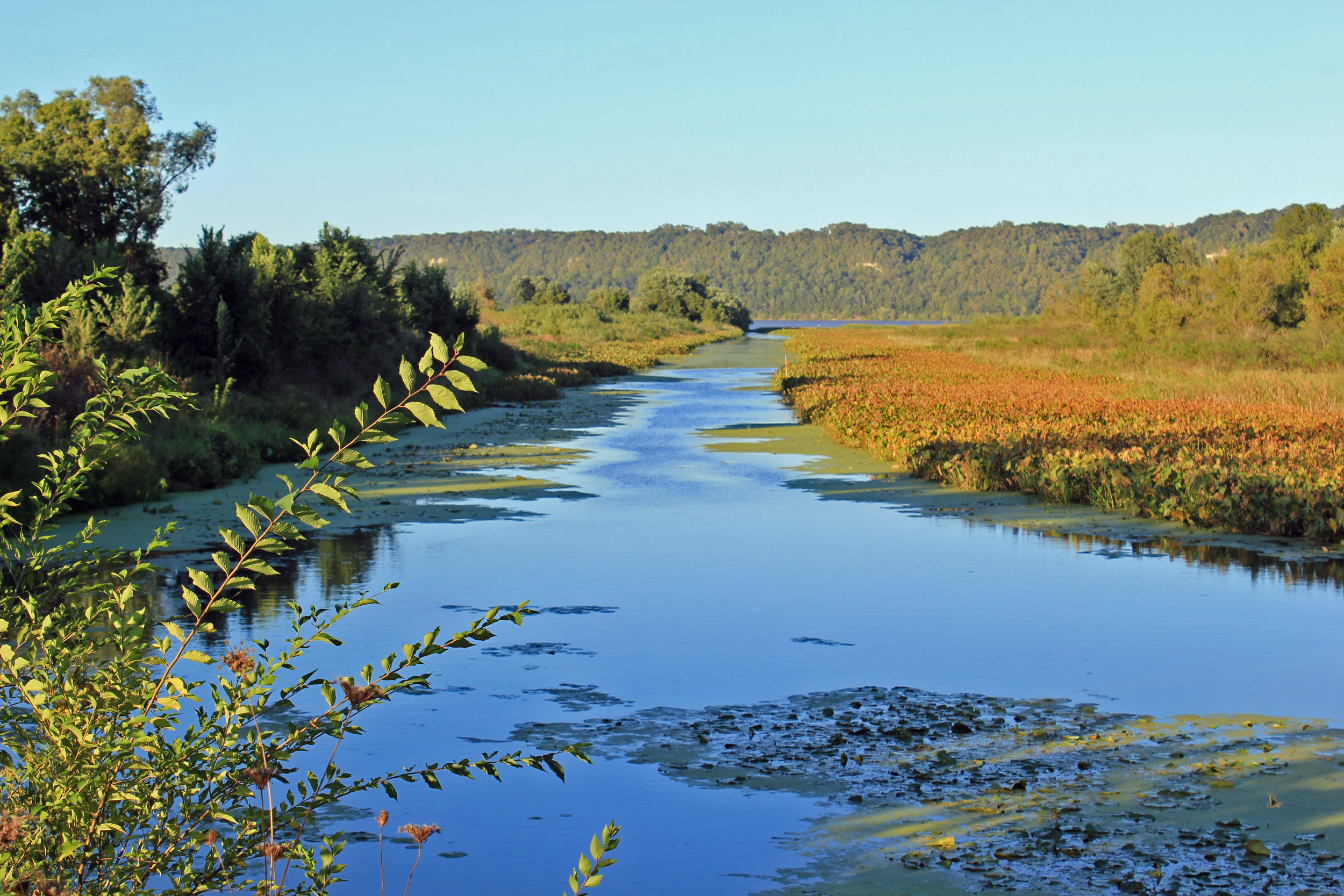 Deere Dike Park-1.jpg