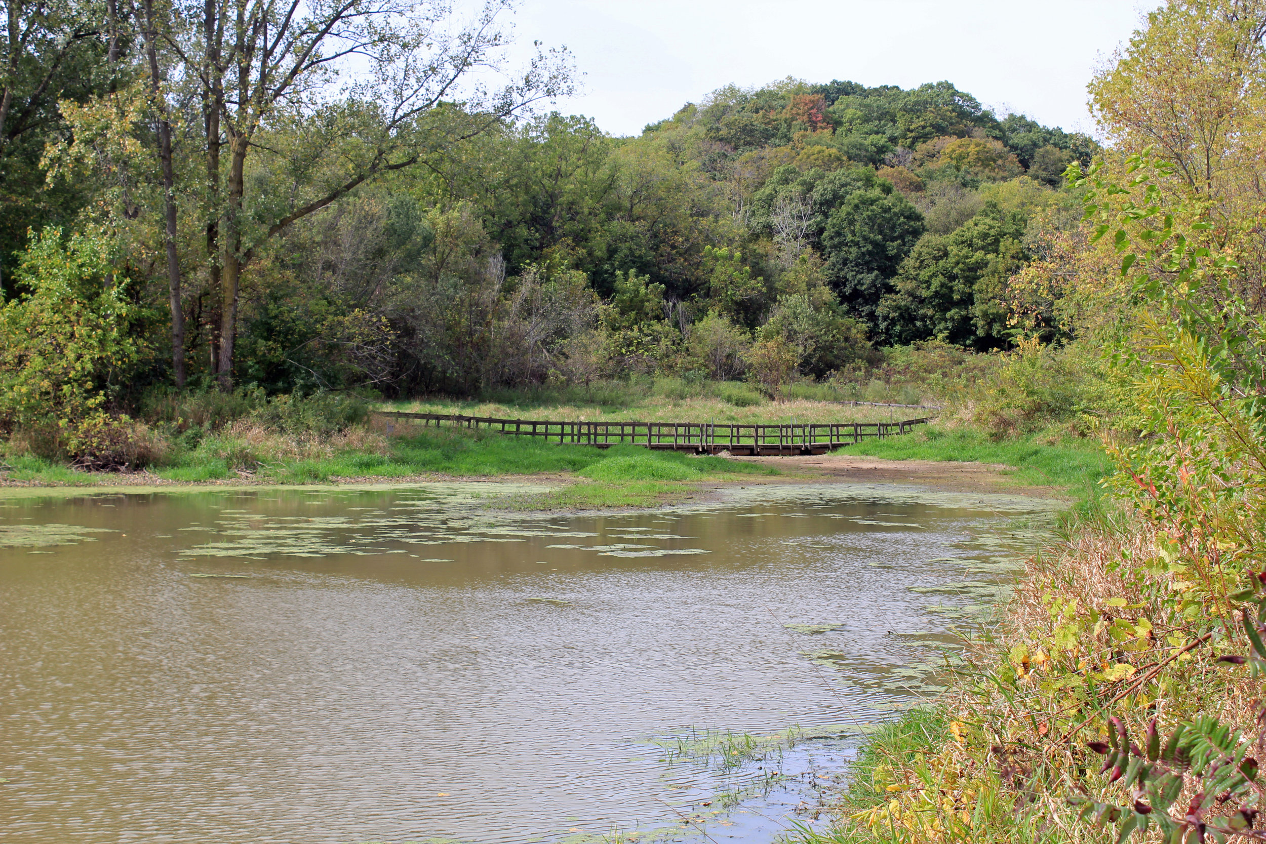 Horsehoe Bend Trail-5.jpg