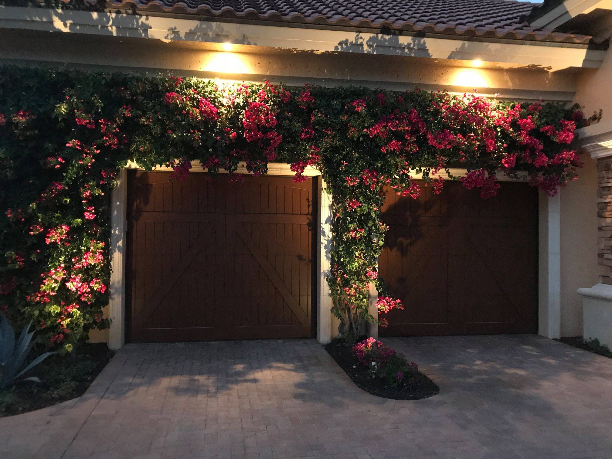  QUALITY LOW VOLTAGE LANDSCAPE LIGHTING SYSTEMS FOR HOME AND BUSINESS   Get On With It!  