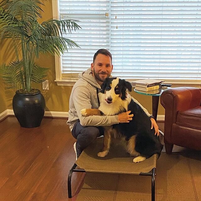 Happy hump day!
Celebrating this students graduation  from one of our programs @avdogtraining 
#Rangerboy #graduation #wednesday #dogsofinstagram #dogtraining #avdogtraining #dogs #pictures #likes #followus #austrailianshepherd