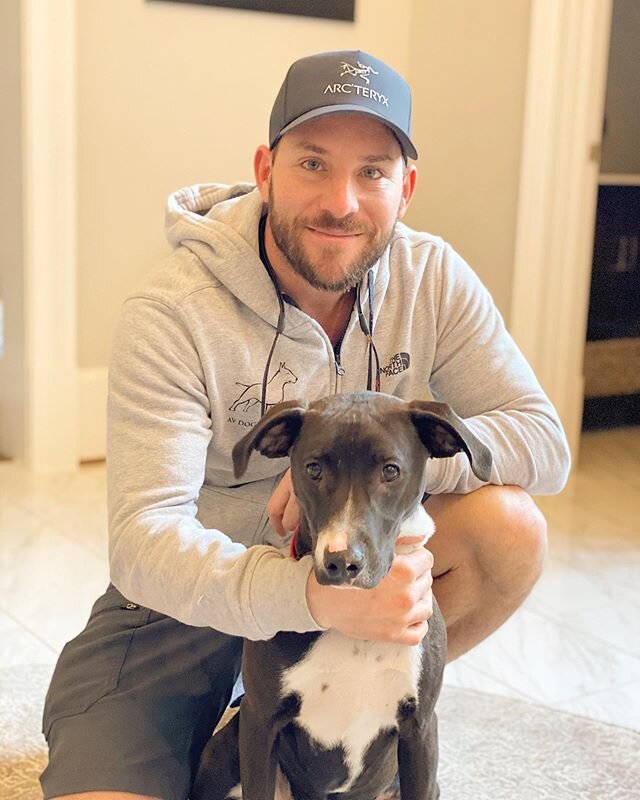 Congrats to this sweet boy on his day graduation from our @avdogtraining obedience program! Truly remarkable progress 👍👏👏 way to go lucky! #students #graduation #dogs #atlanta #dogtraining #atl #buckhead #dunwoody #midtown #buckhead #dogsofinstagr