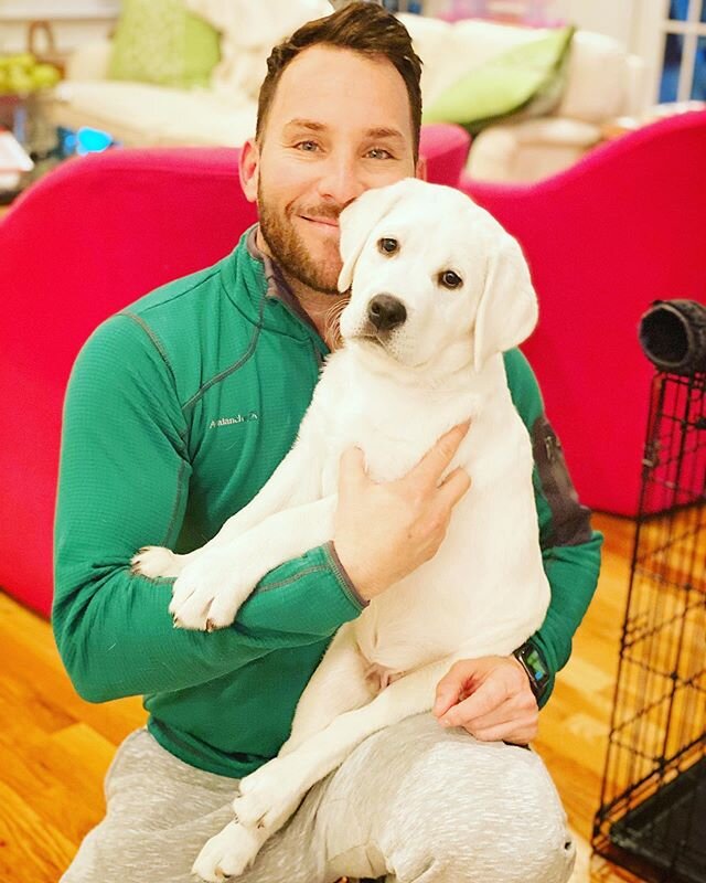 How cute is our student ?
#George
#dogs #Avdogtraining #atlanta #buckhead #sandysprings #dogsofinstagram #avdogtraining #obedience #labradorretriever #labs #likes #share #labsofinstagram