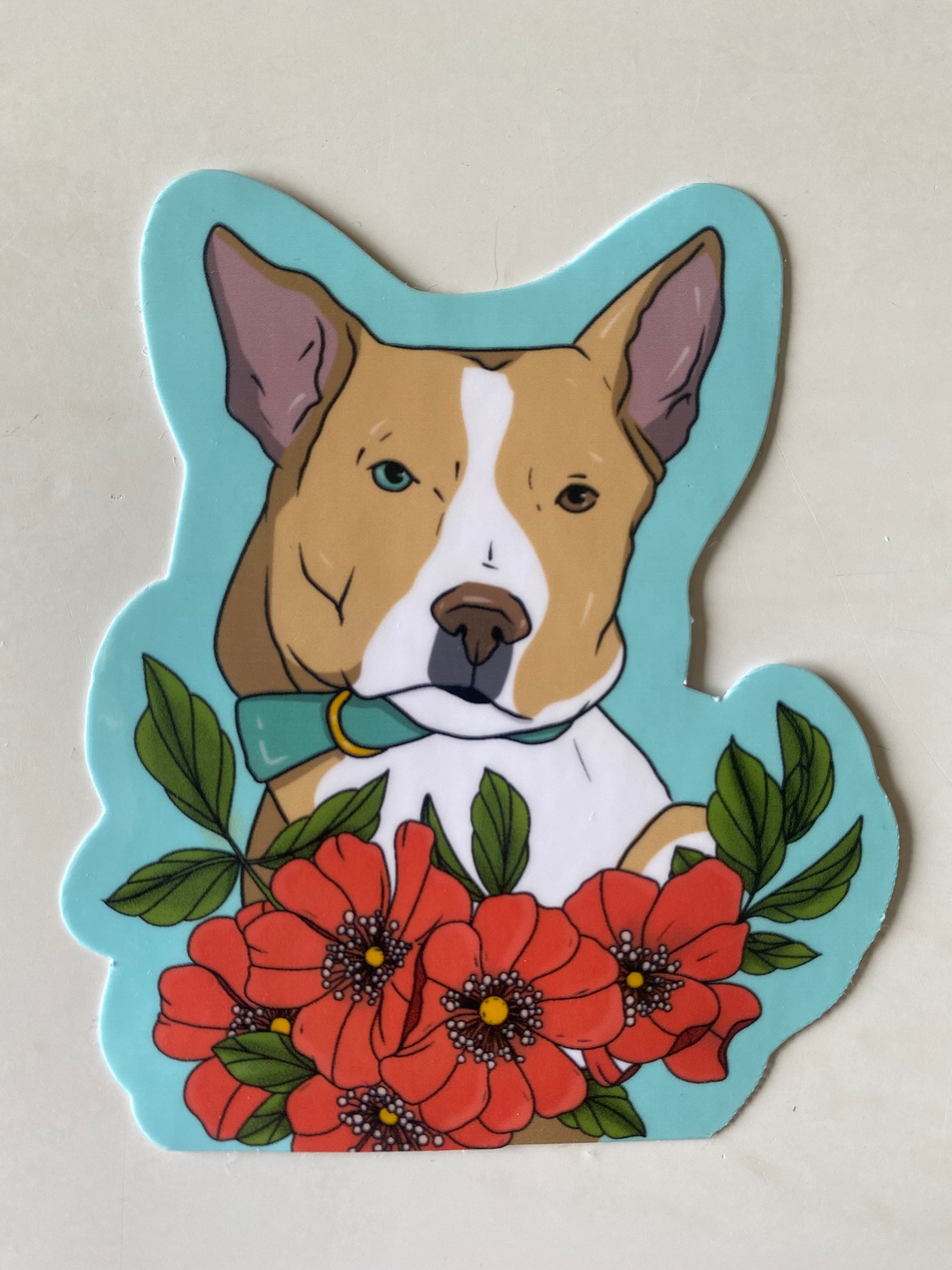 https://i.etsystatic.com/17689978/r/il/9e15ee/3931436188/il_fullxfull.3931436188_dlg1.jpg
