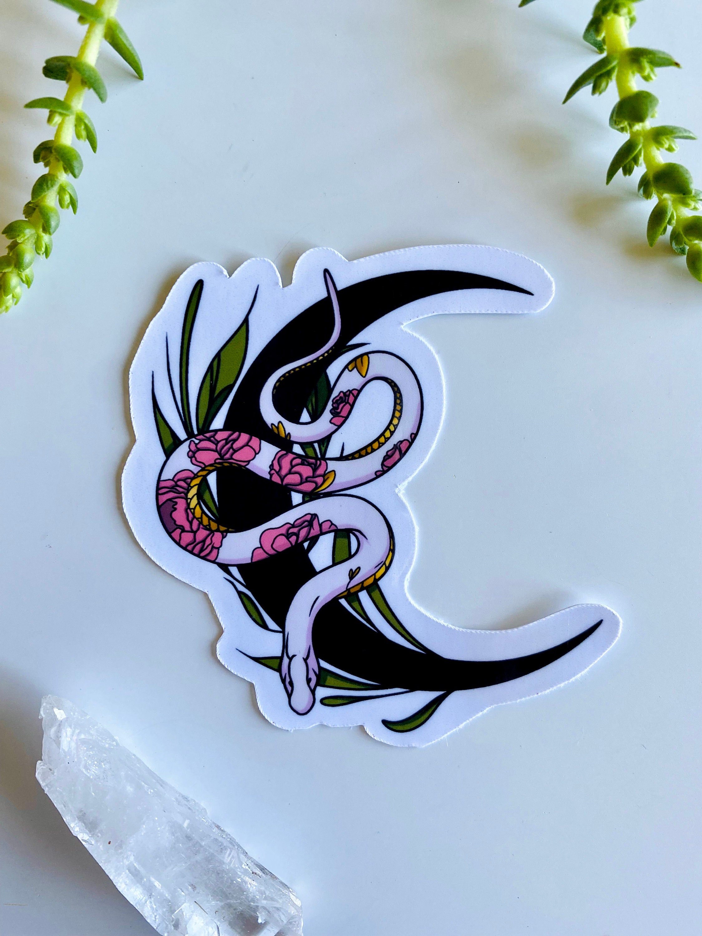 https://i.etsystatic.com/17689978/r/il/64a5fc/3412666873/il_fullxfull.3412666873_4kn9.jpg