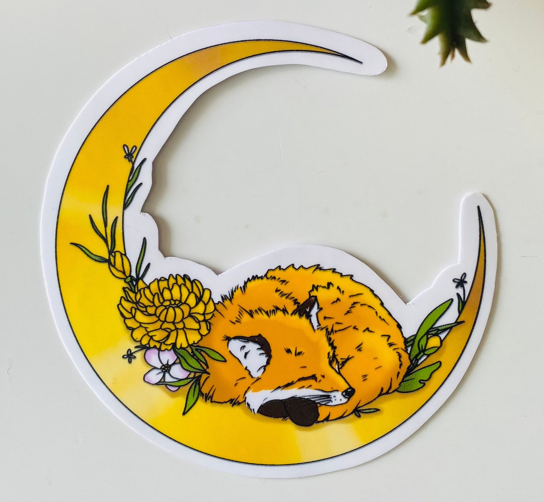 https://i.etsystatic.com/17689978/r/il/4a7170/3874665421/il_fullxfull.3874665421_fg8r.jpg