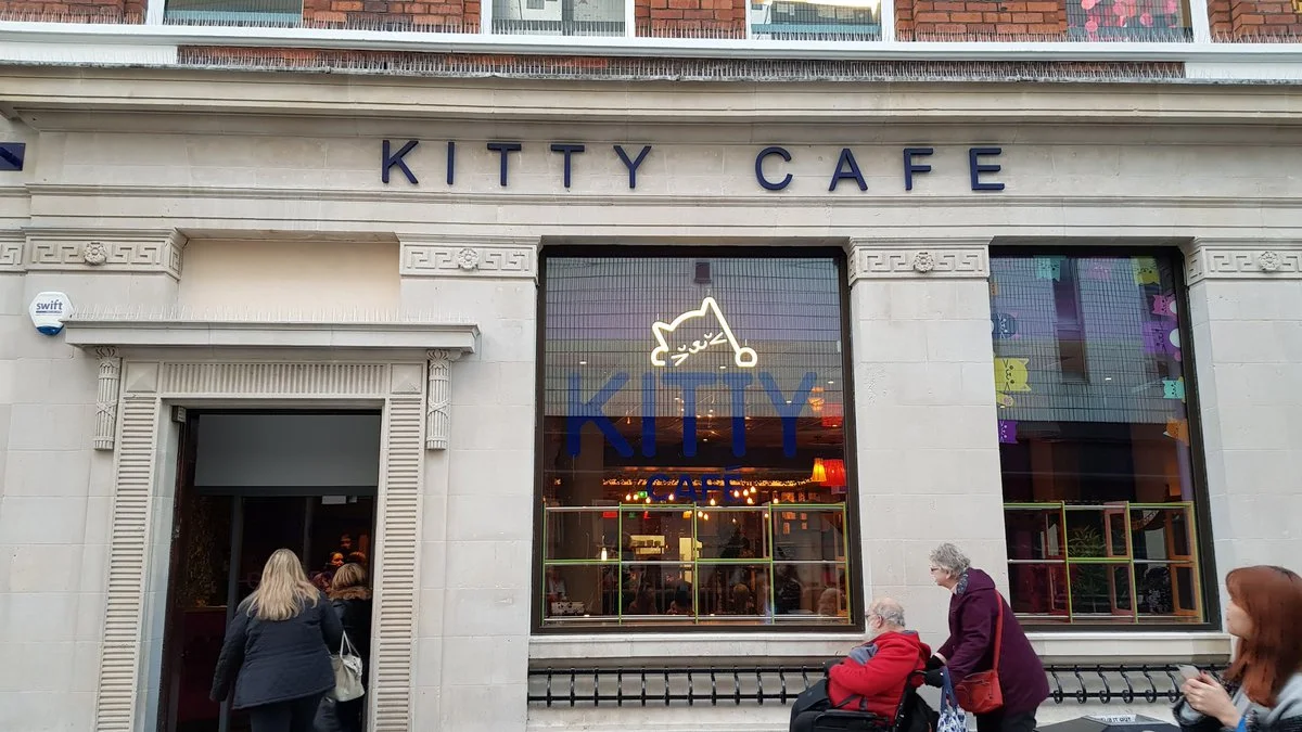 kitty cafe.jpg