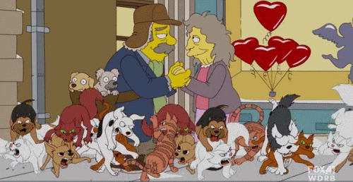 valentines day.gif