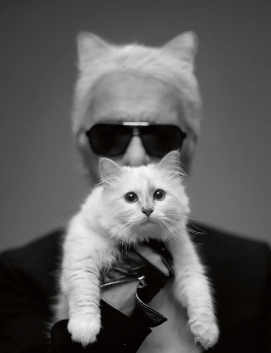 mode_karl_lagerfeld_choupette_philip_utz_chatte.jpg