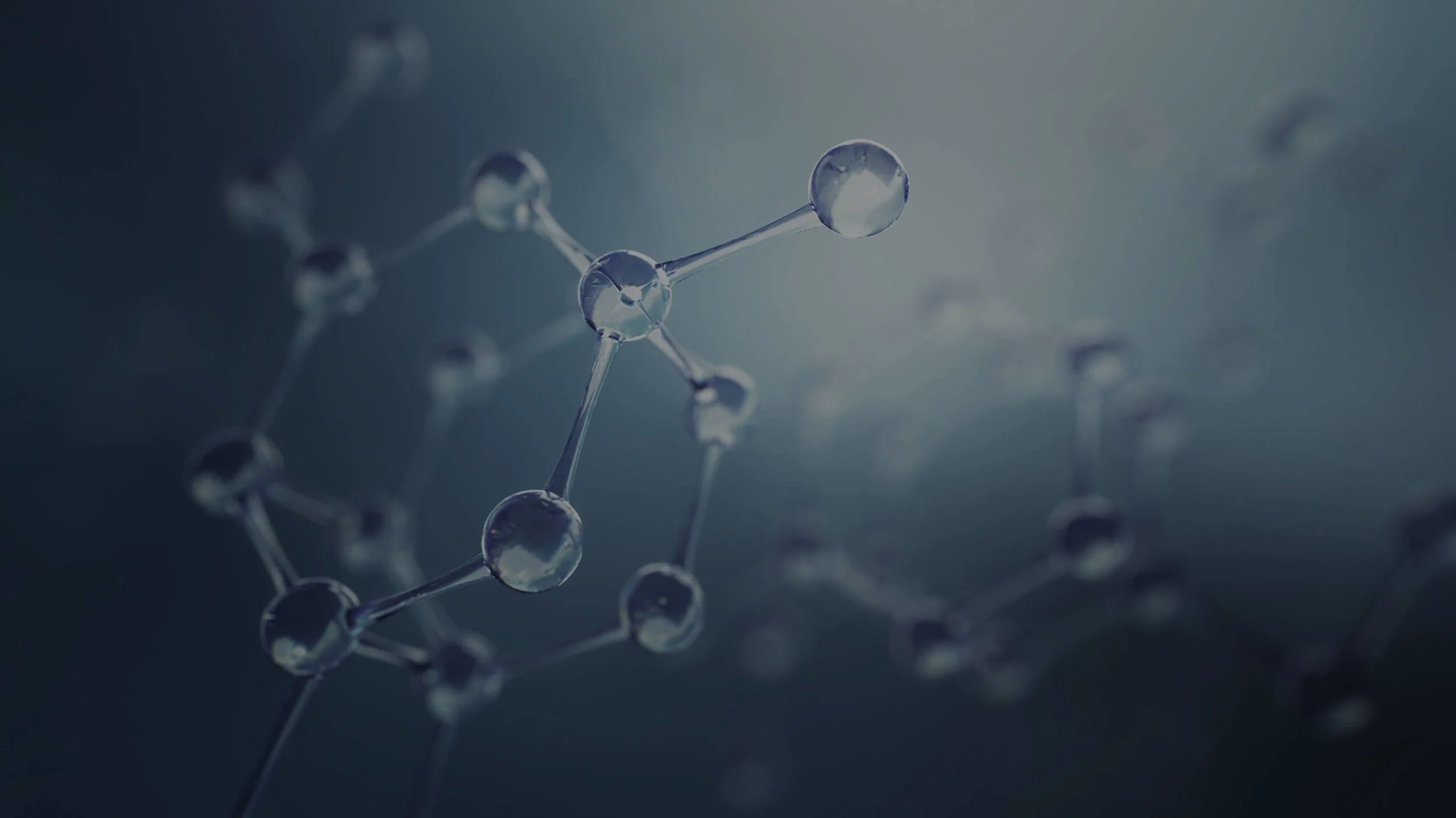 Banner3_web.jpg