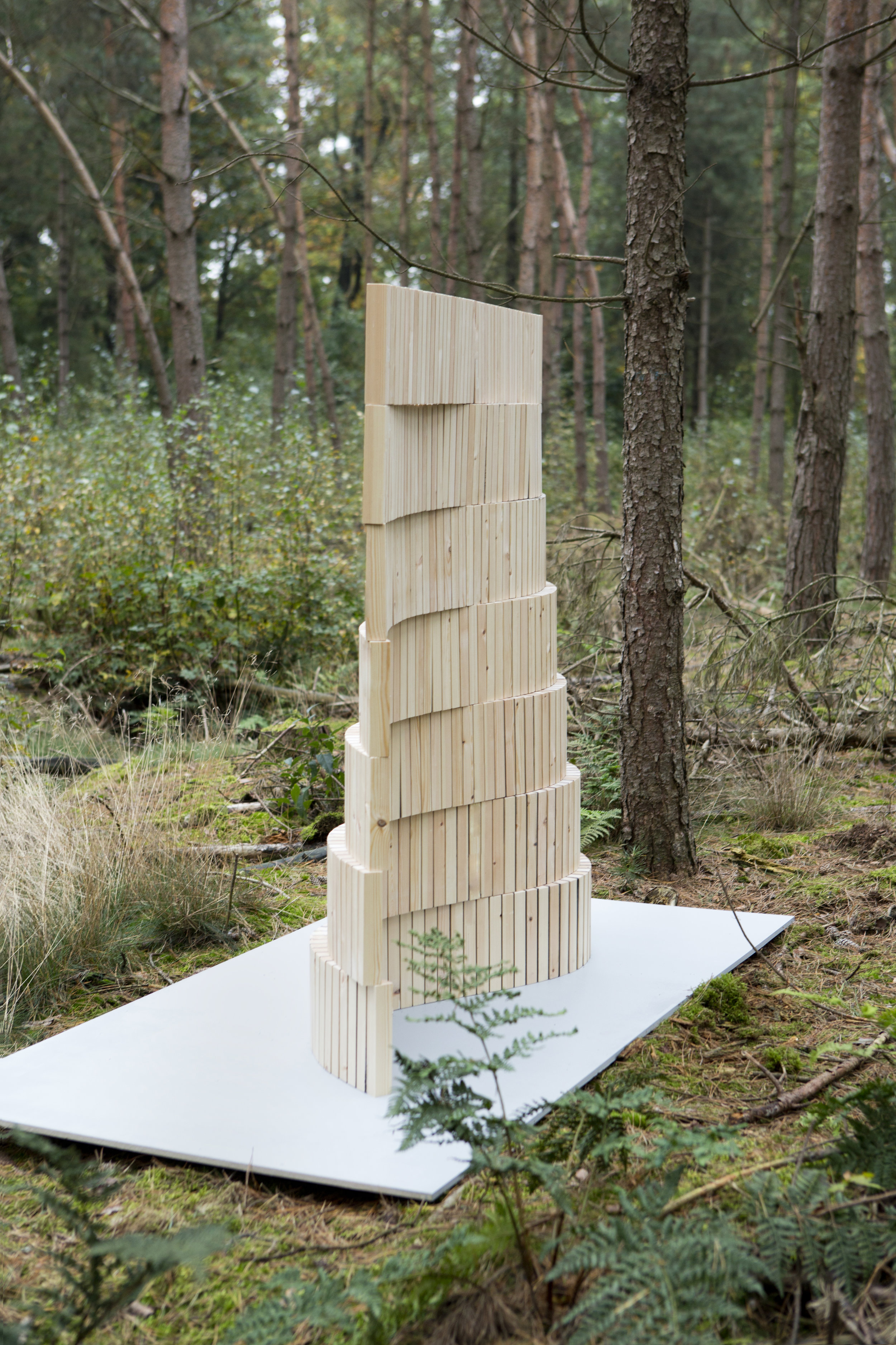 Reconf-tree-woodwall-David-derksen-II.jpg