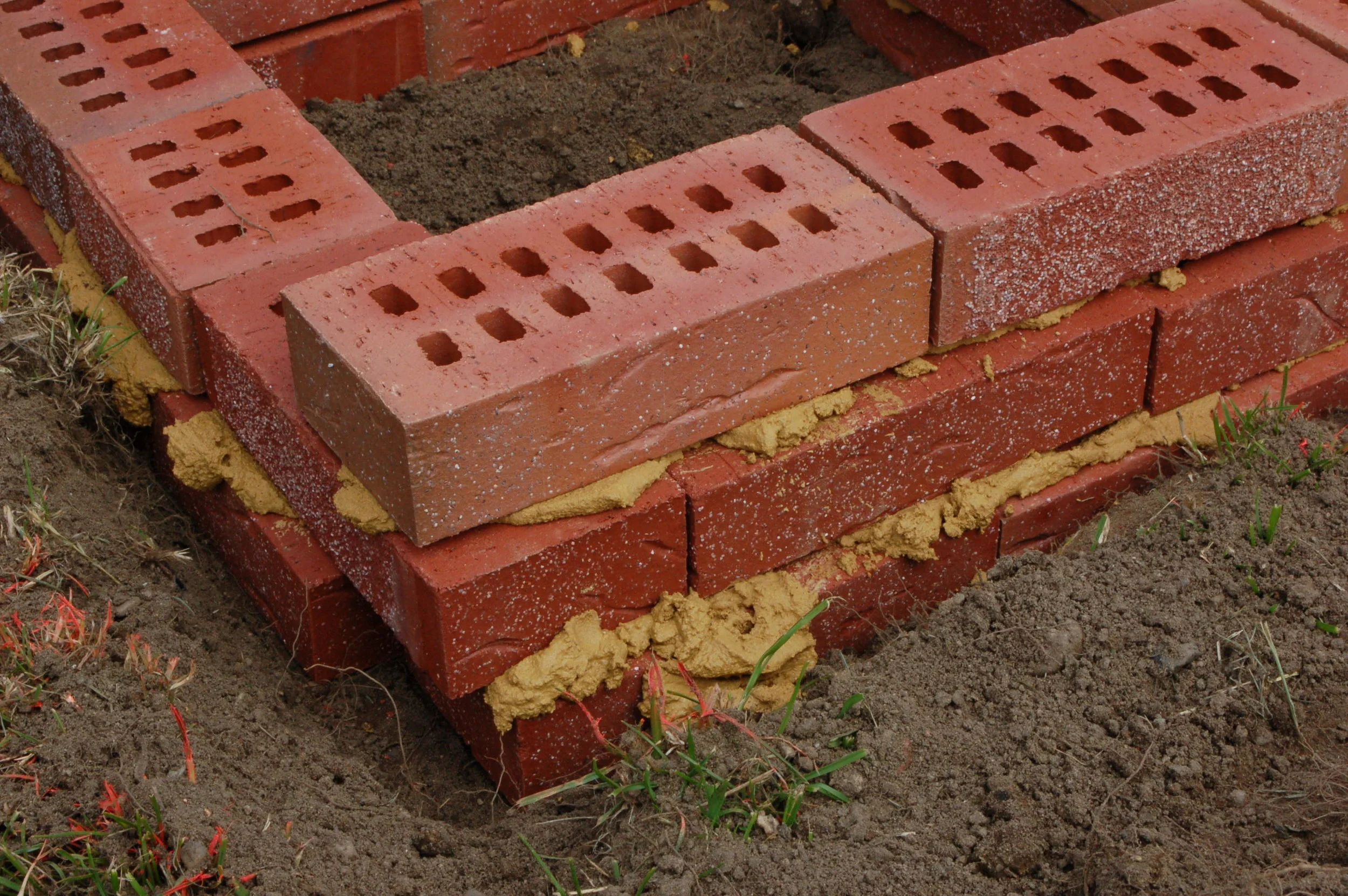 DSC_6636.jpg