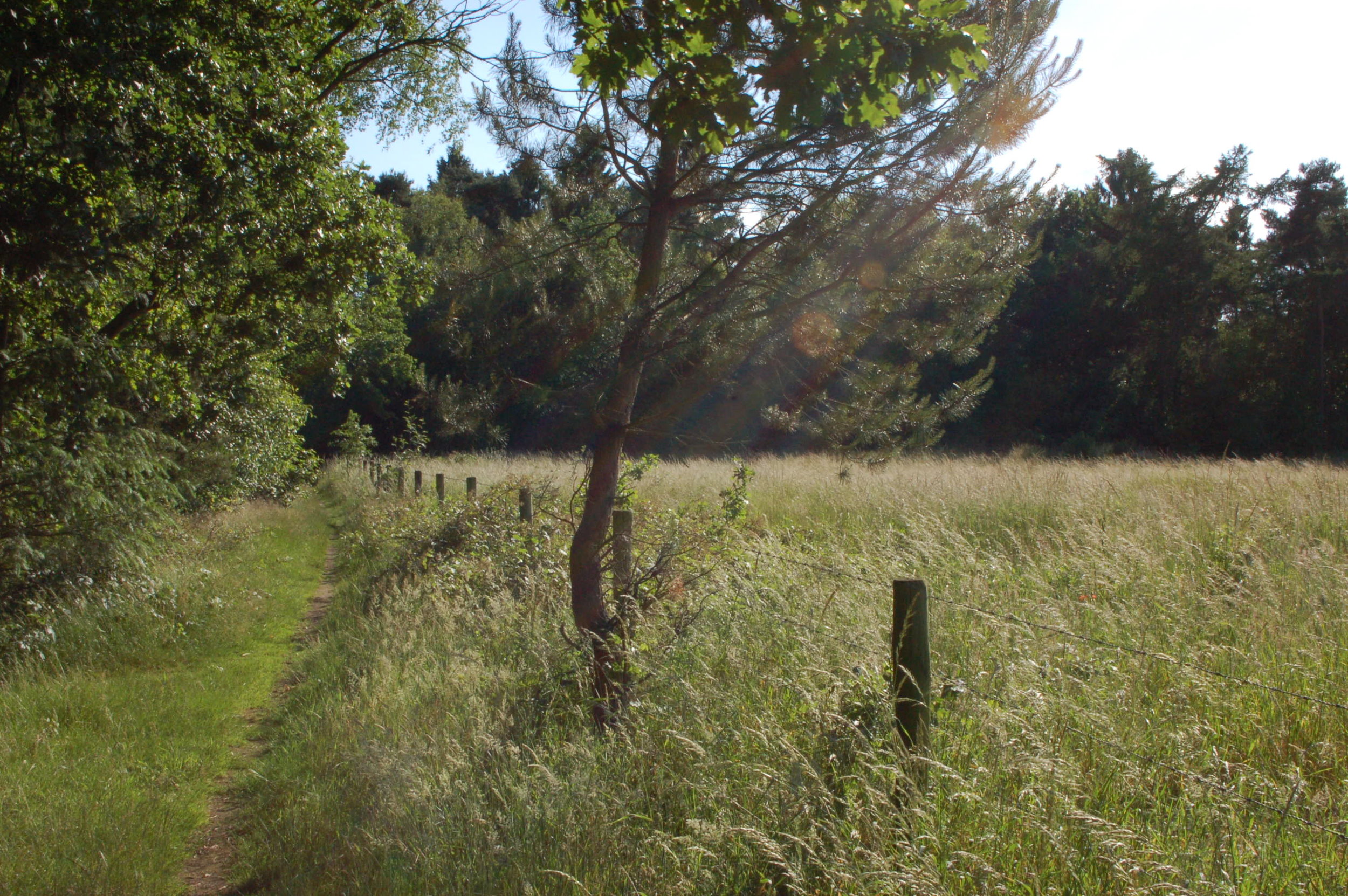 DSC_6697.jpg
