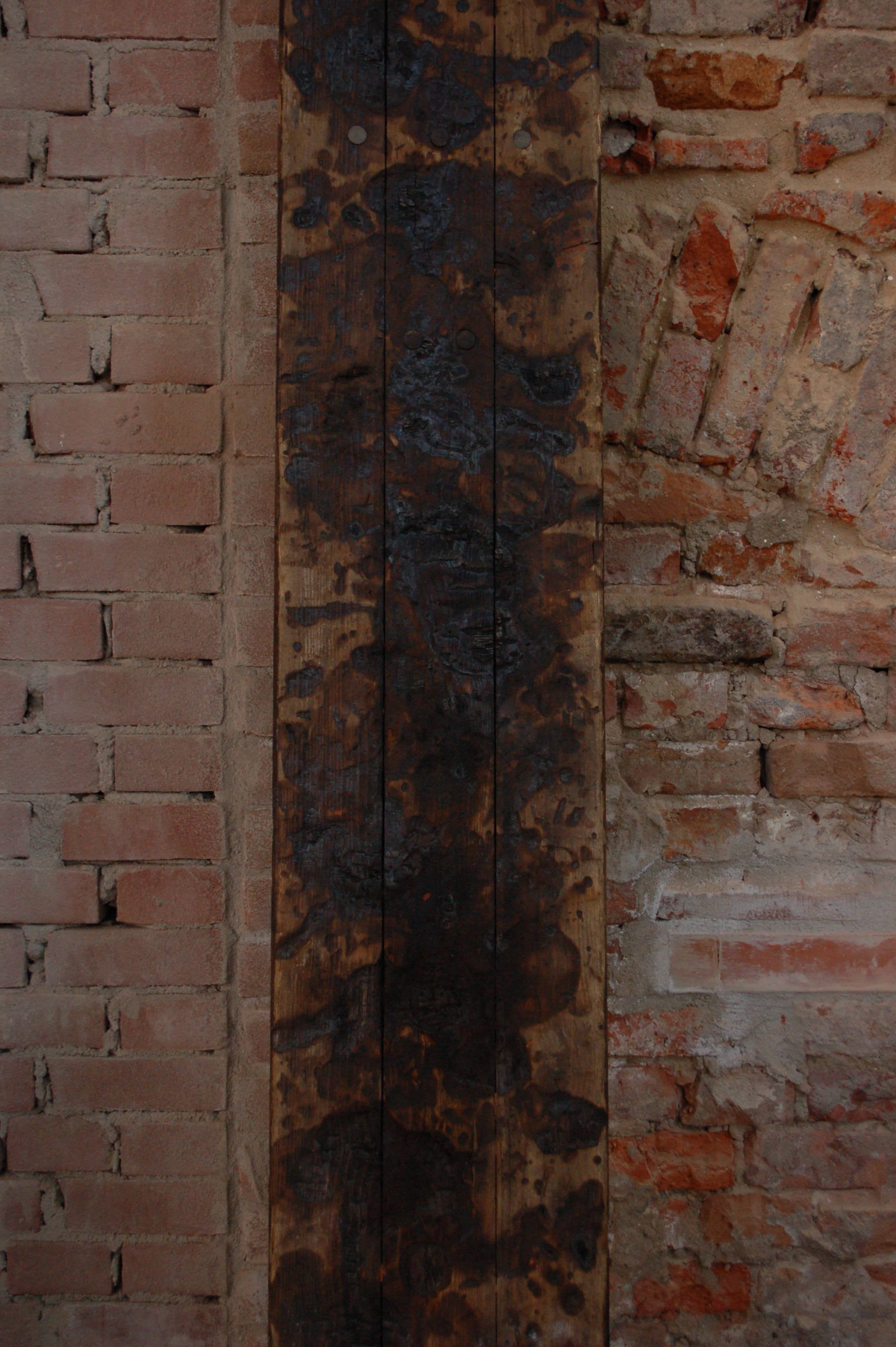 DSC_6813.jpg