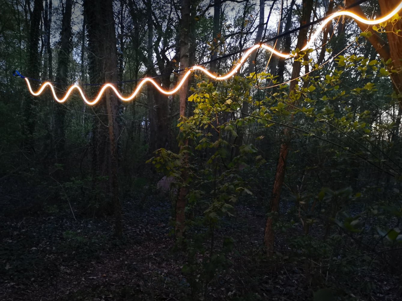 Sine Light OD in forest - [ARRAY] by David Derksen.jpg
