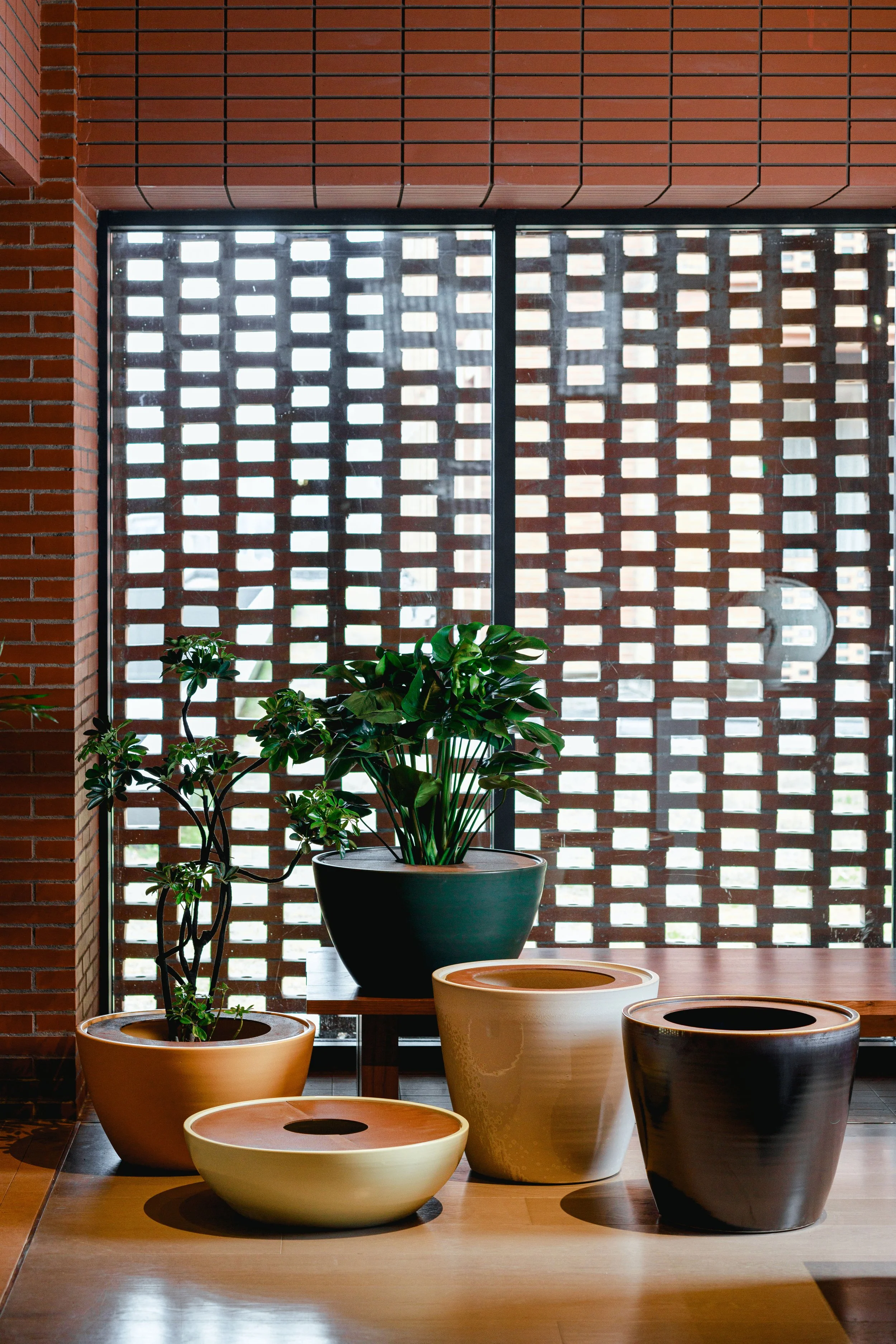 Disc Planters for WL Ceramics