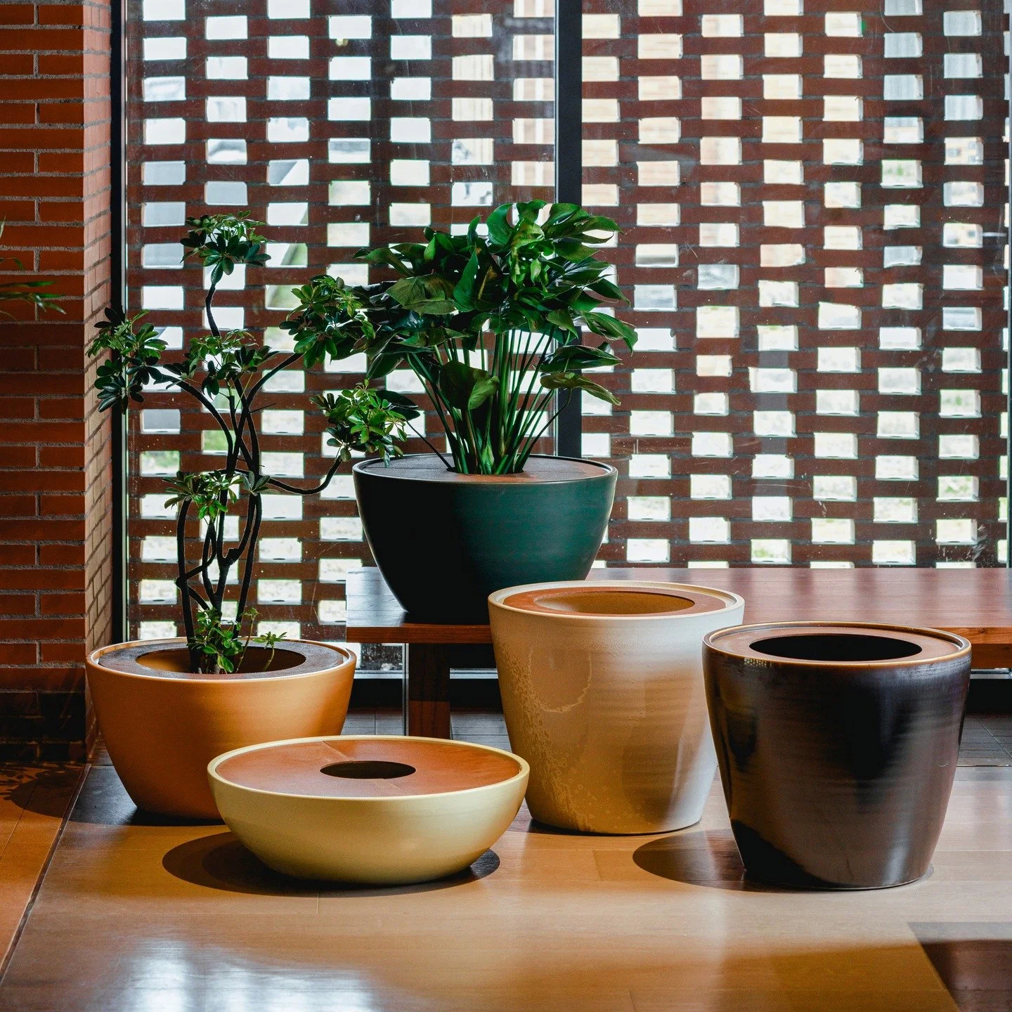 Recently, I designed the DISC Planters for wl-ceramics, a combination of minimalist porcelain containers and corten steel rings.

Each planter is topped with a two-part disc for easy assembly. The discs are available in two versions: one with a small