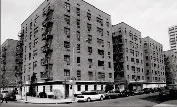 rego-park-gardens-queens.jpg