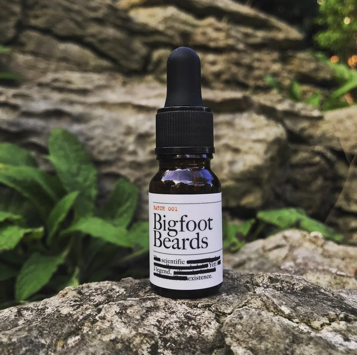 53969805-6F65-4619-A2C6-0CF6AA37723F