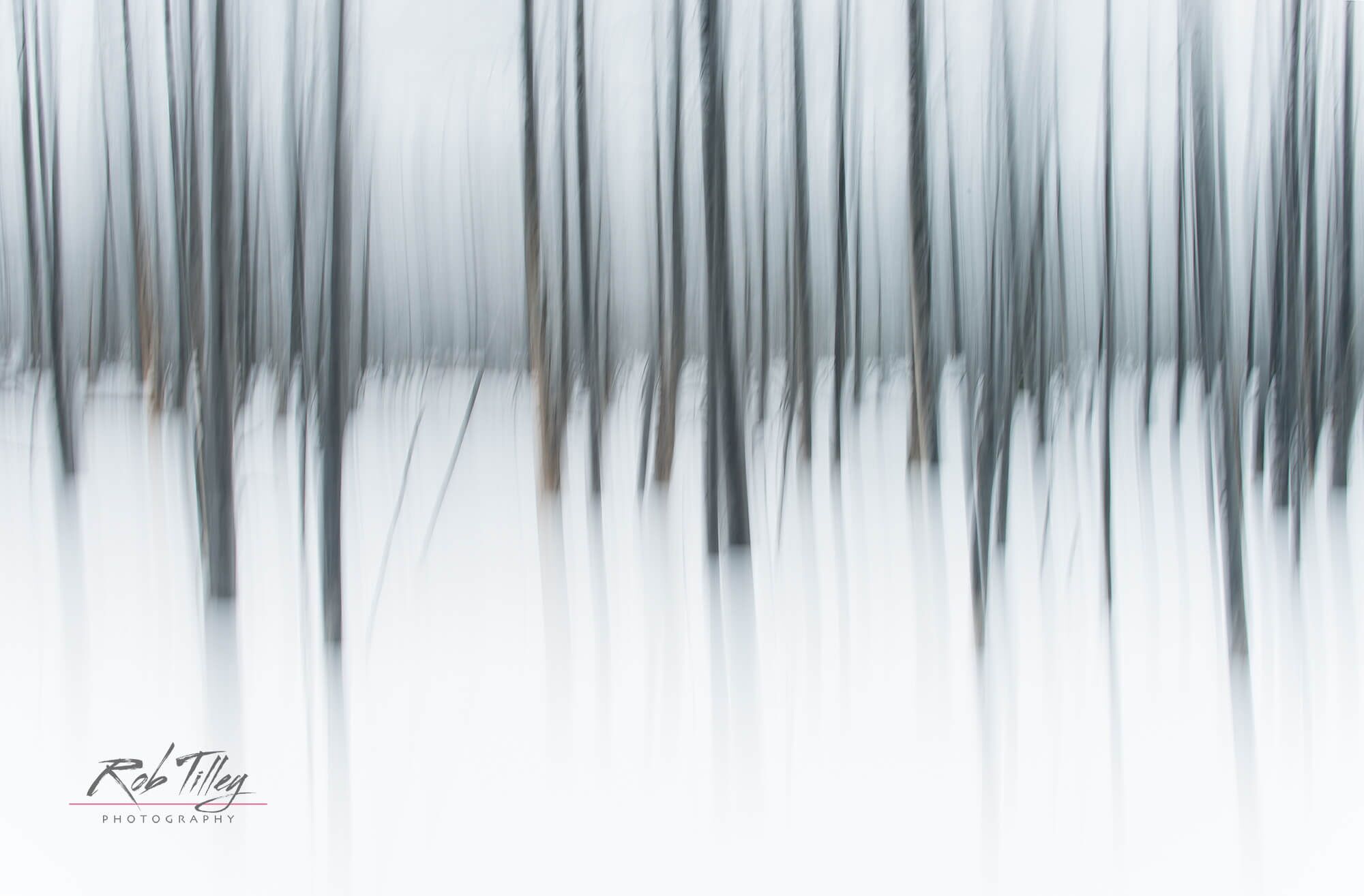 Winter Forest Abstract I_preview.jpeg