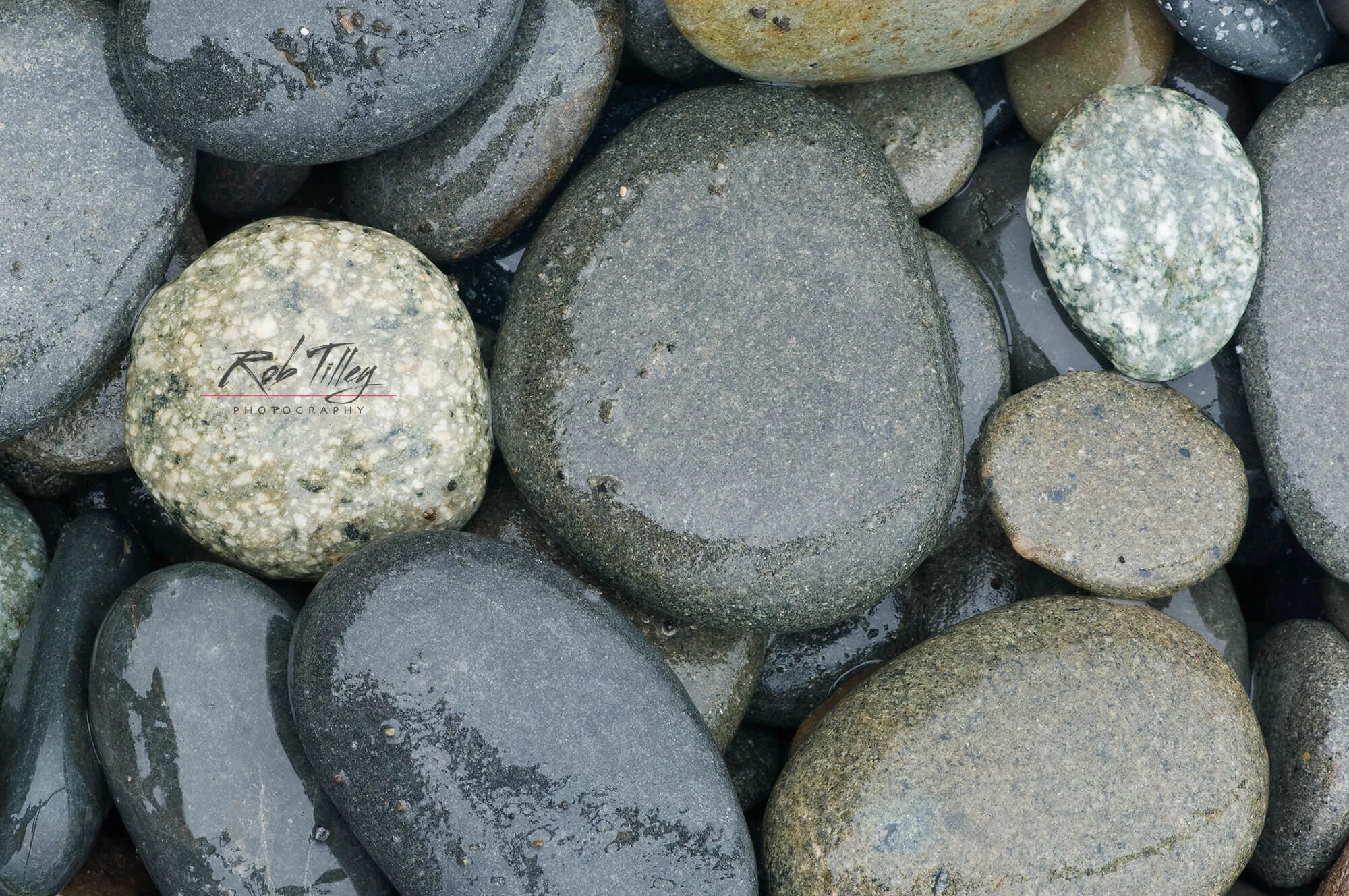 Beach Cobbles