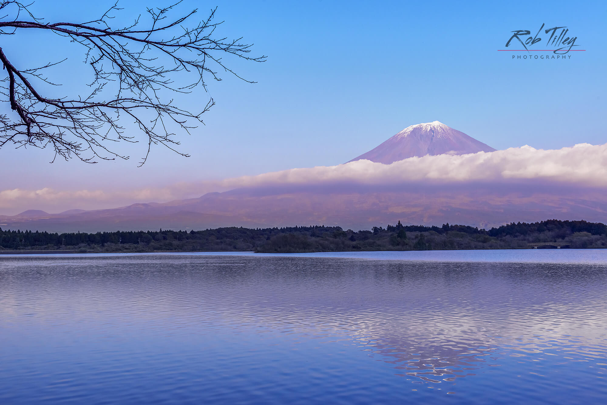 Mt. Fuji & Tanuki Lake I