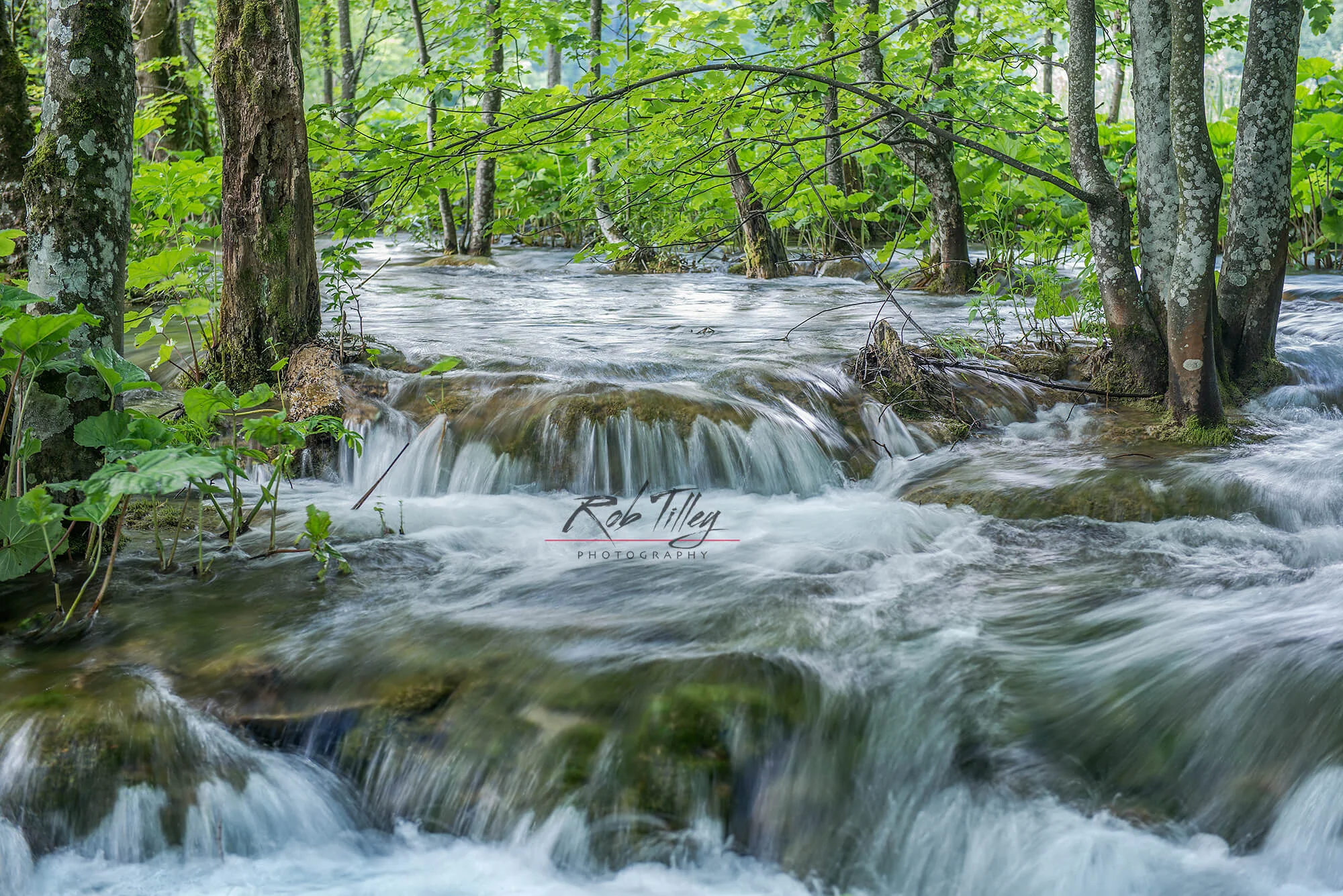 Plitivice Stream