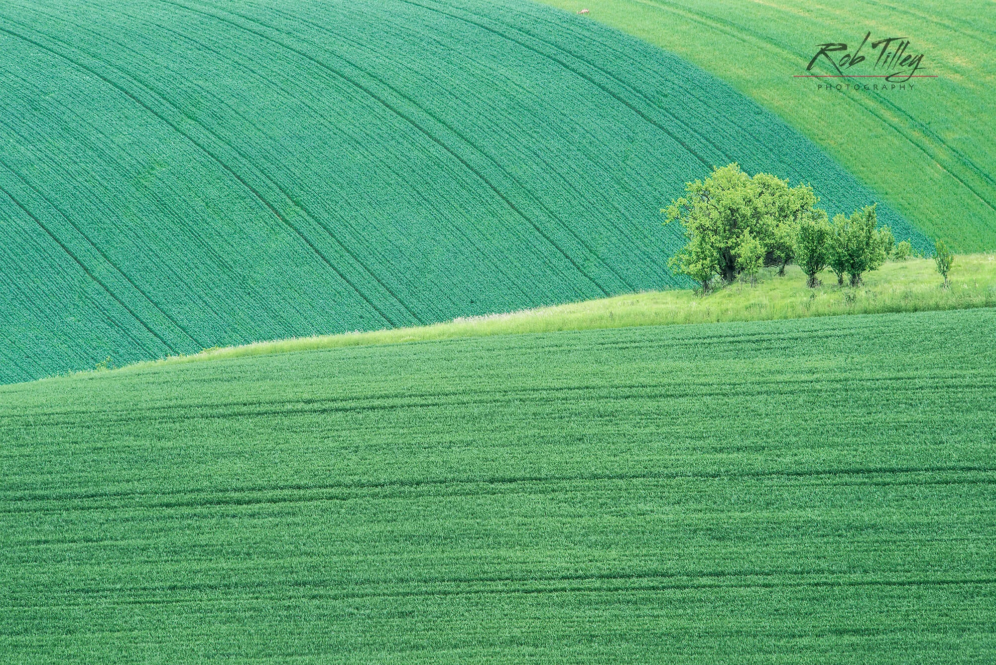 Spring Farm Fields