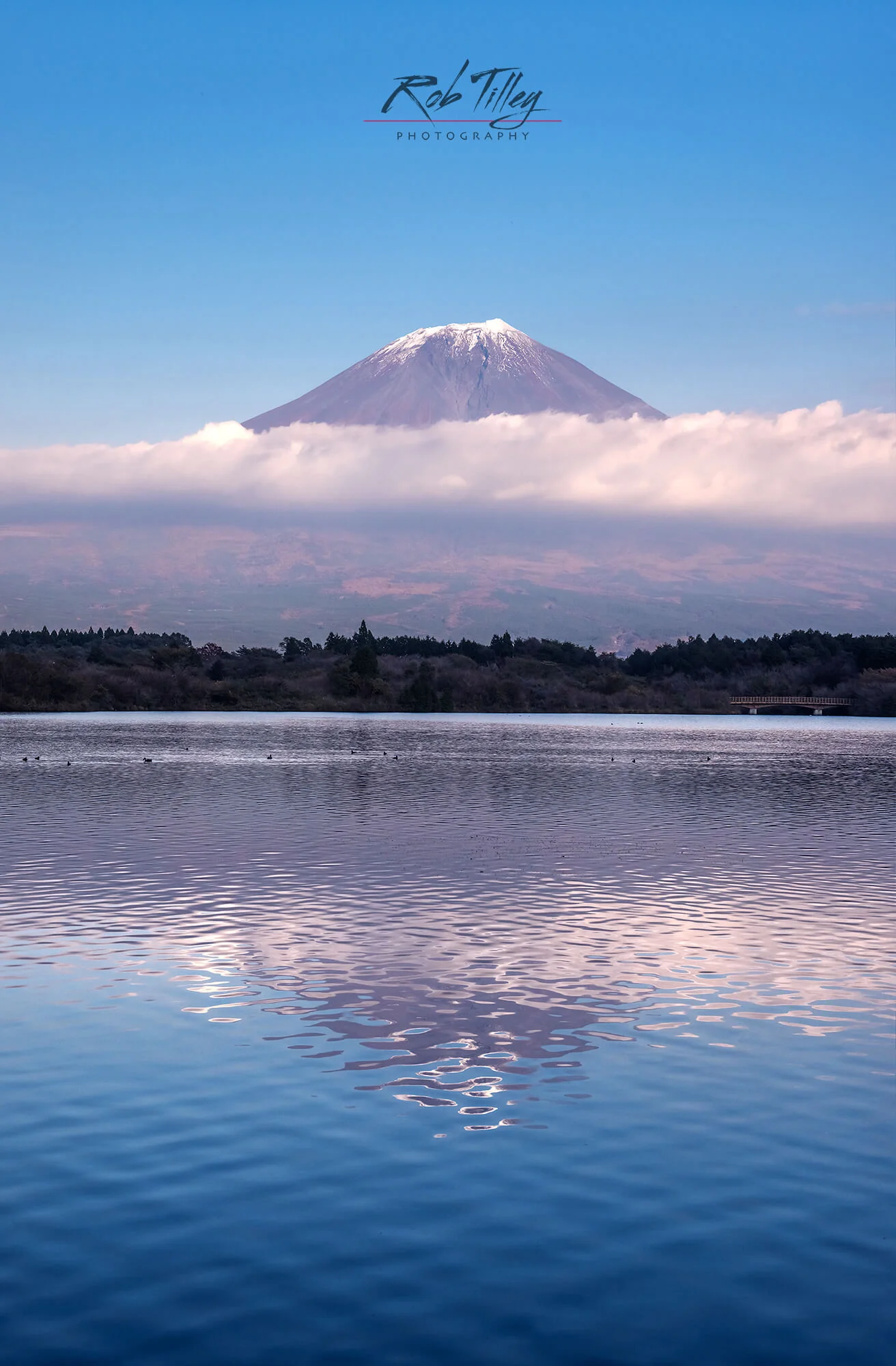 Mt Fuji & Lake Tanuki II.jpg