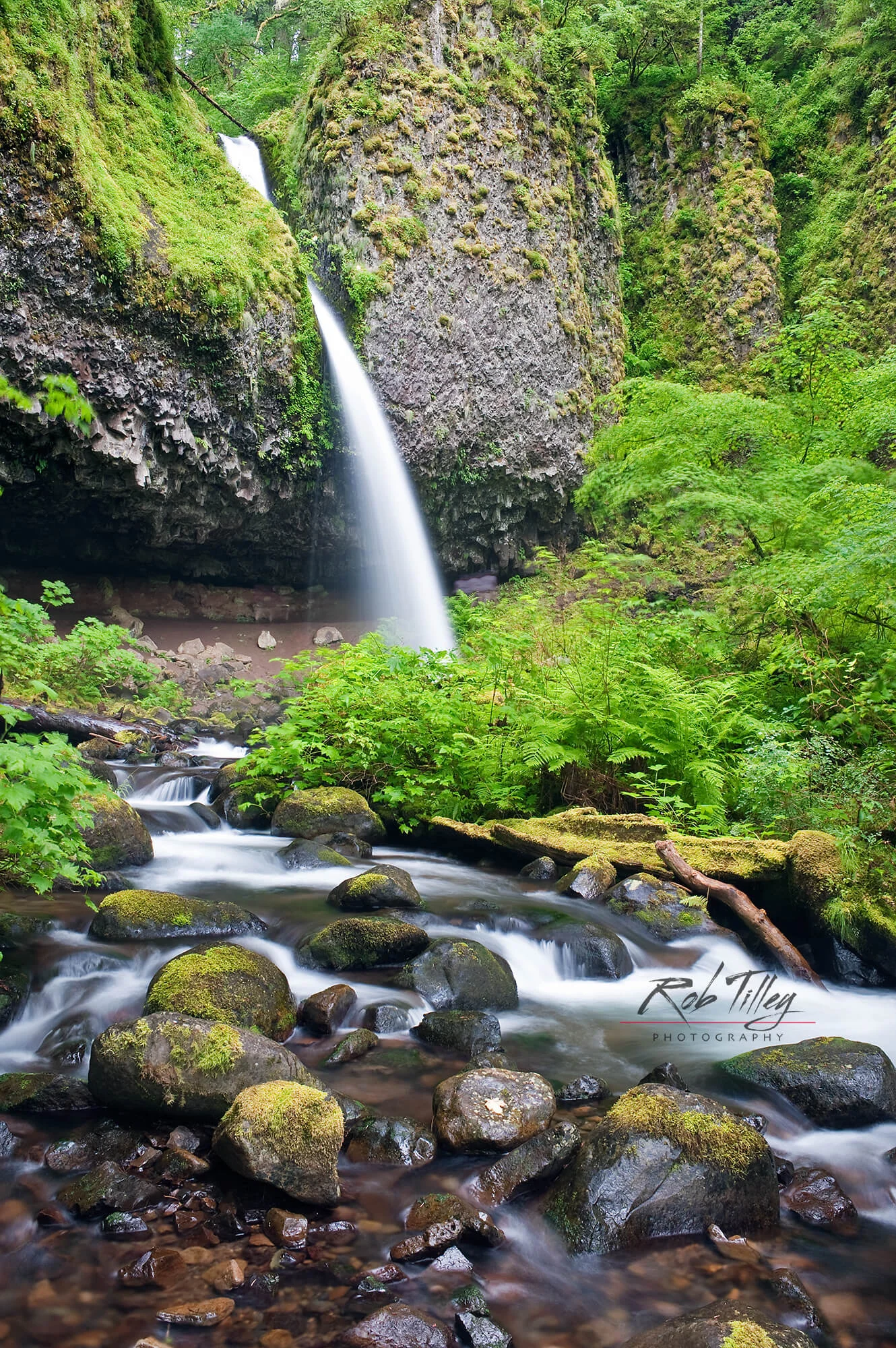 Pony Tail Falls.jpg