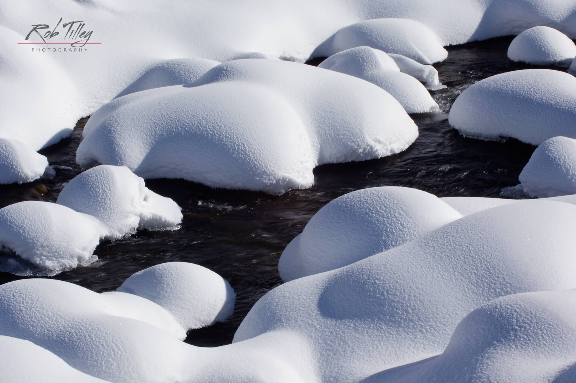 Snowy Creek I