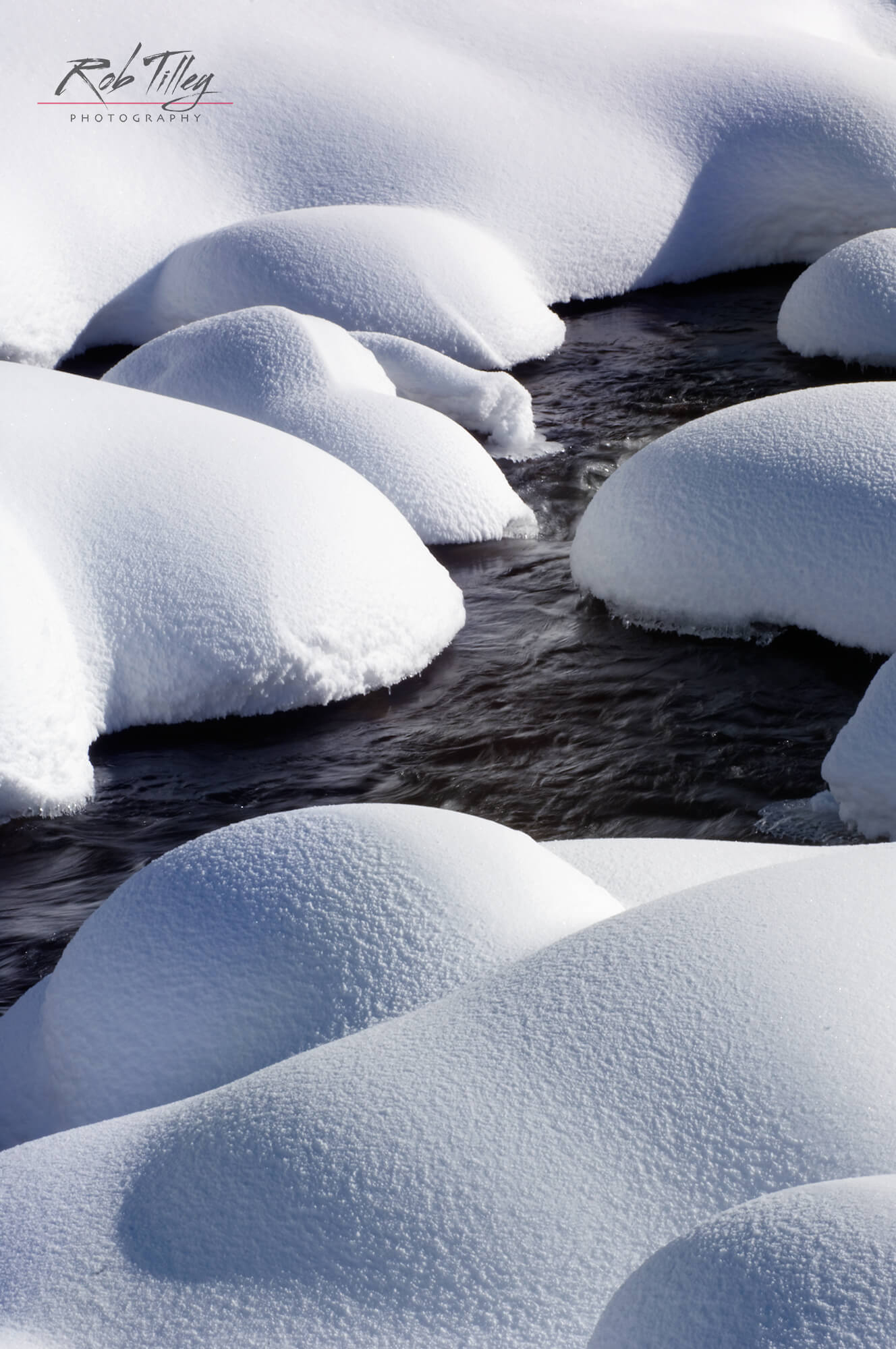 Snowy Creek II