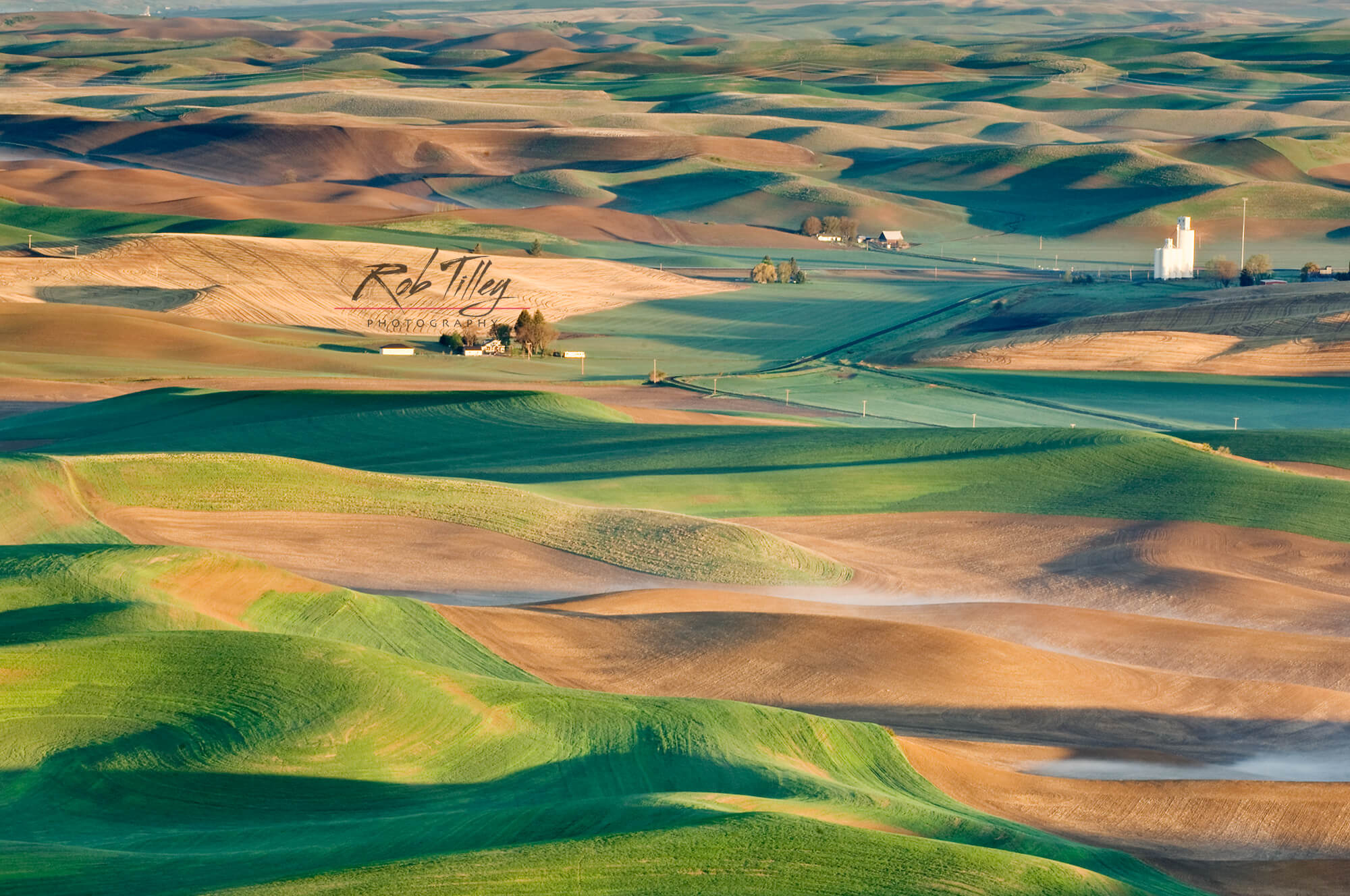 Palouse Spring.jpg