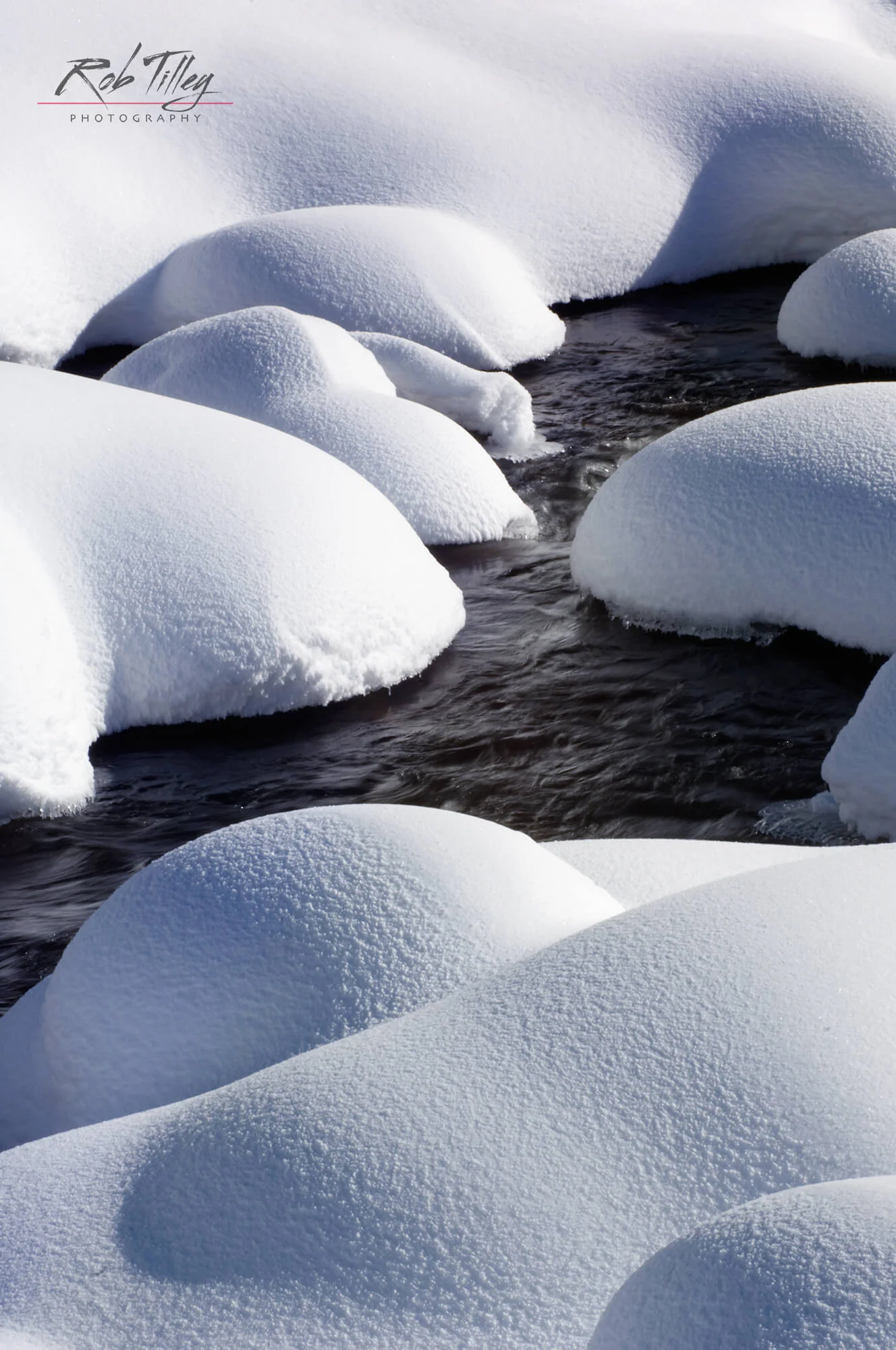 Snowy Creek II.jpg
