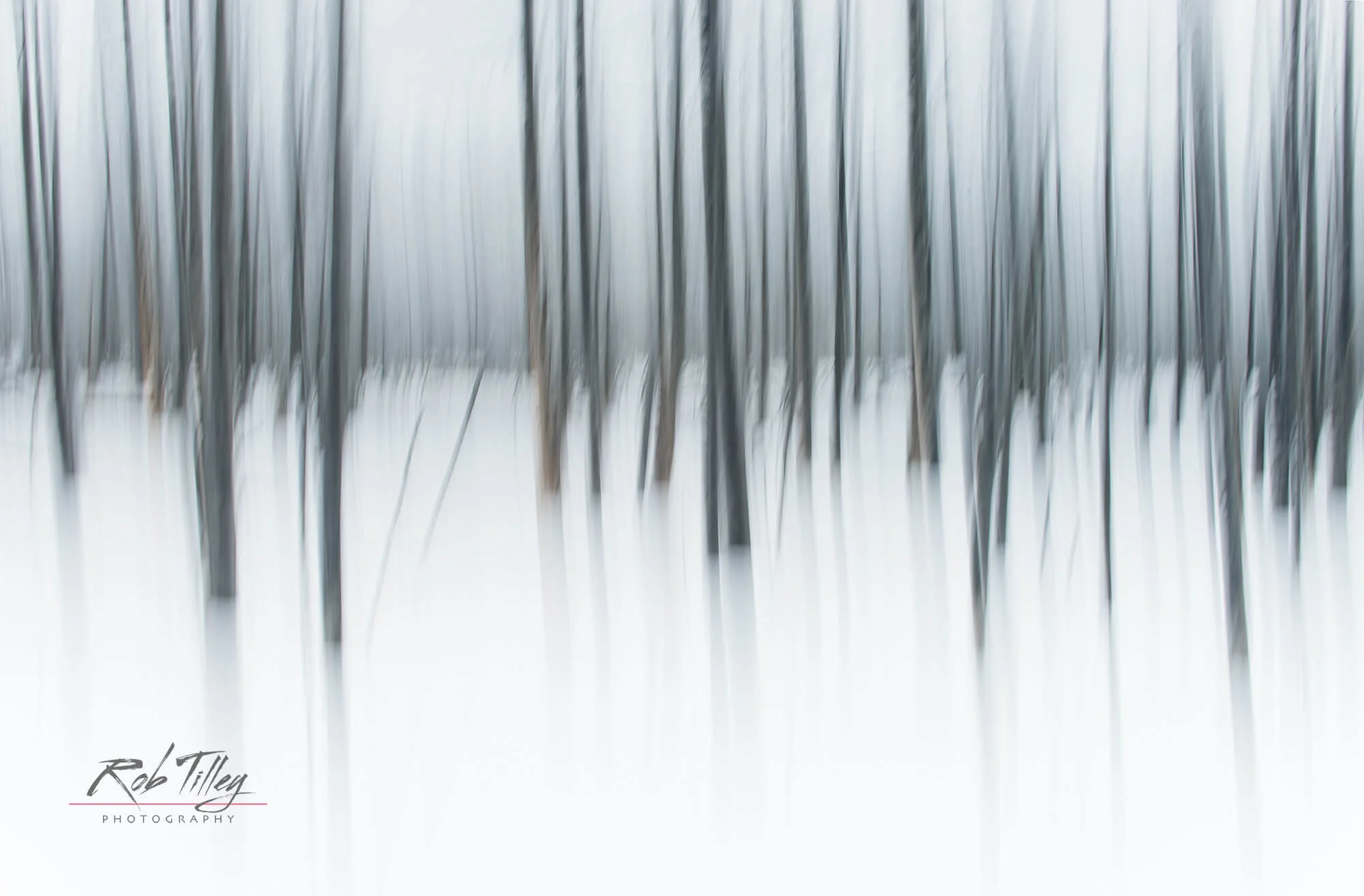 Winter Forest Abstract I.jpg