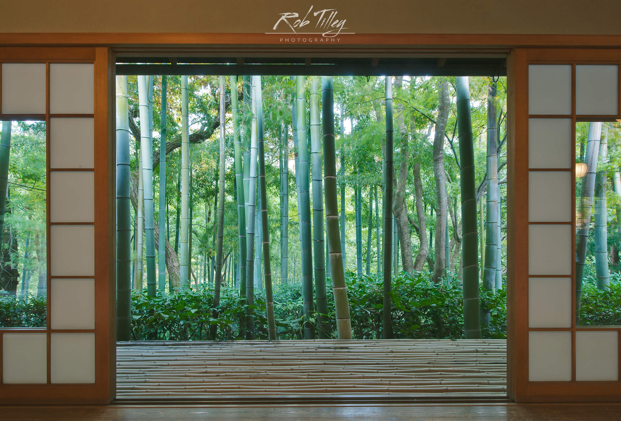 Bamboo Garden Window