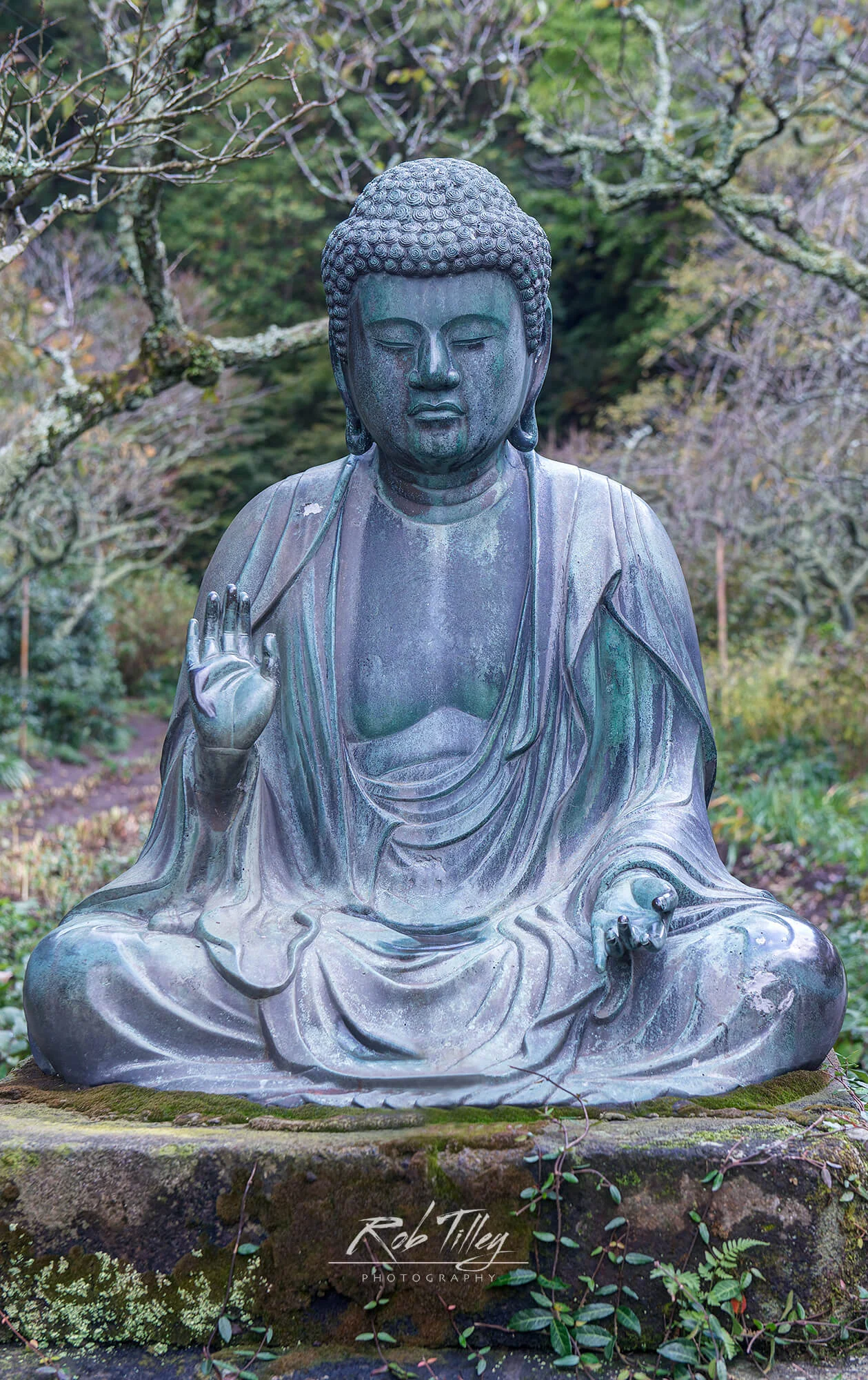 Temple Buddha.jpg