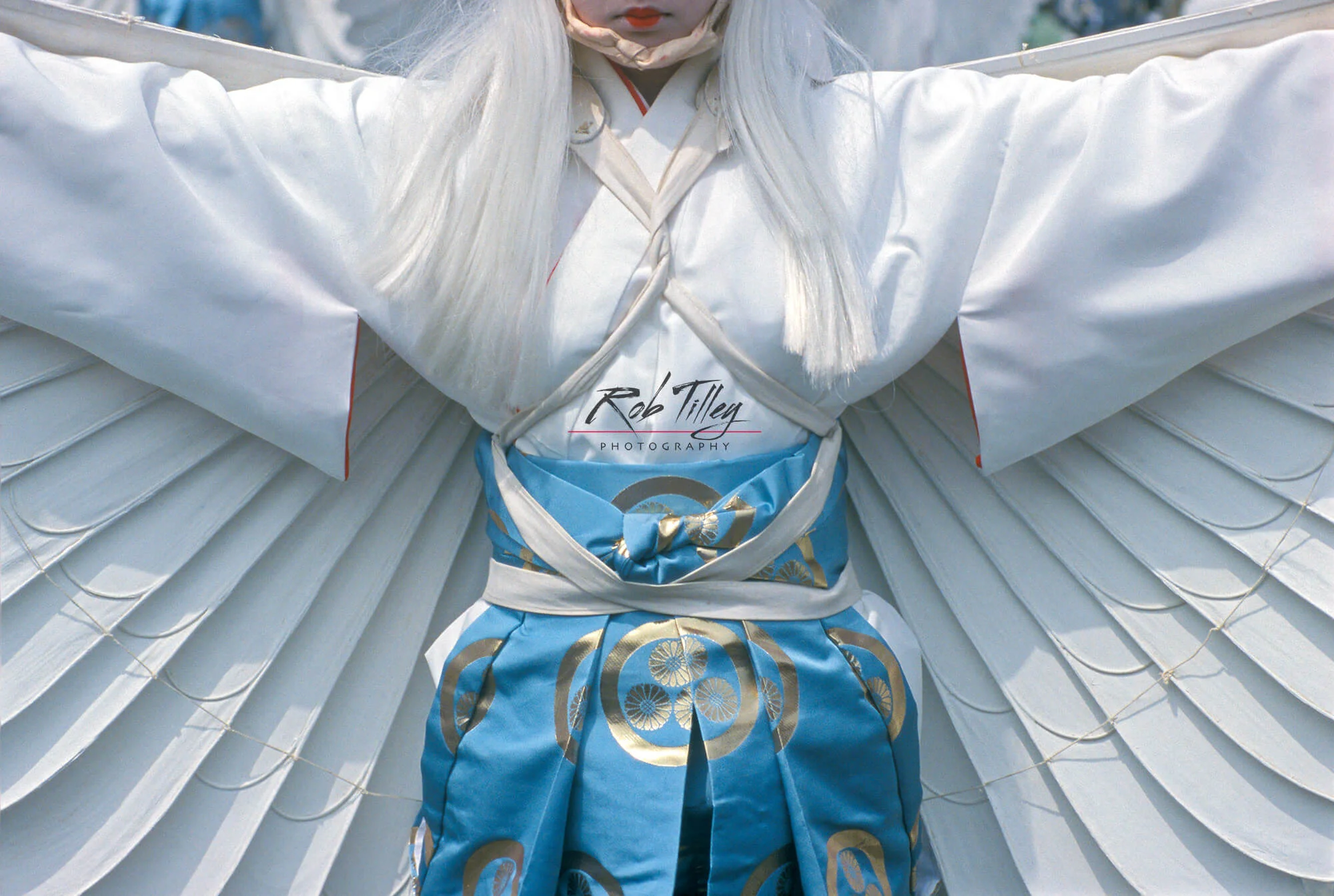 White Heron Dance.jpg
