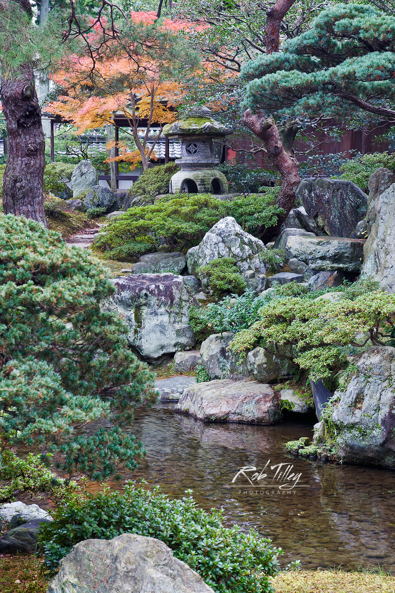 Kyoto Imperial Palace Garden II