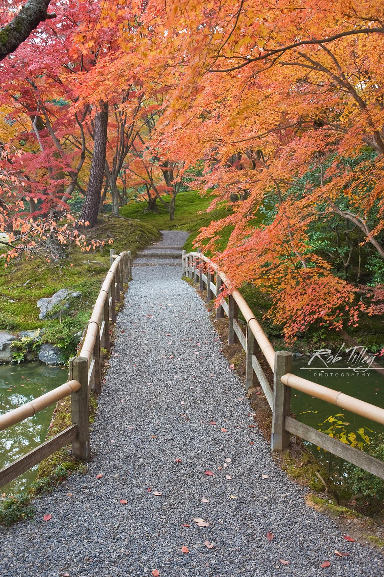 Sento Imperial Palace Garden II