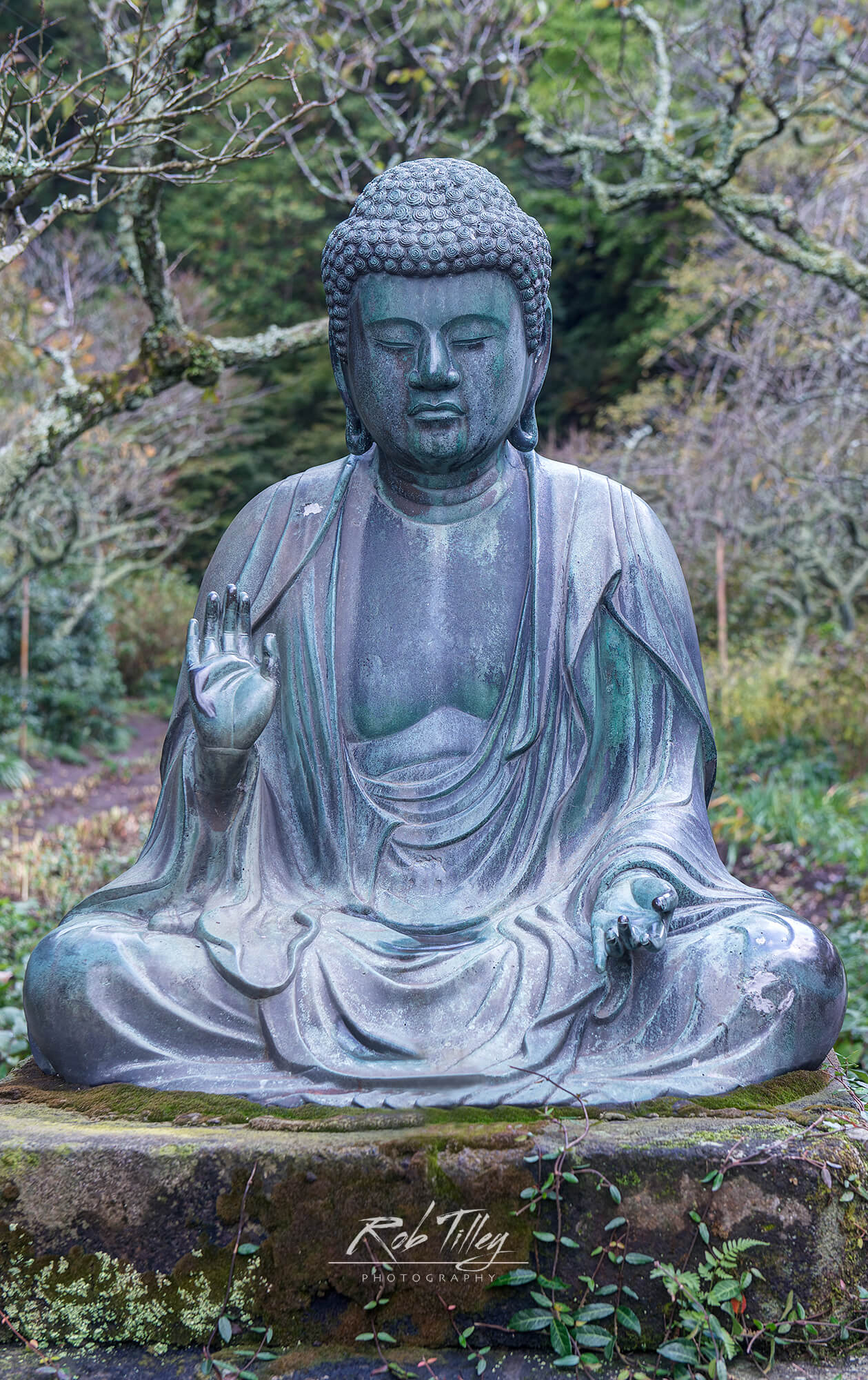 Temple Buddha