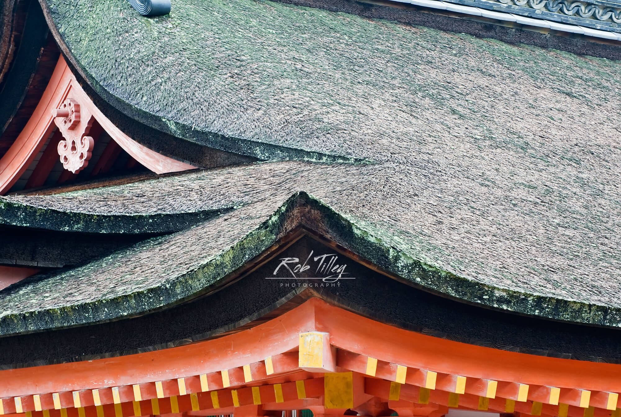 Itsukushima Shrine I